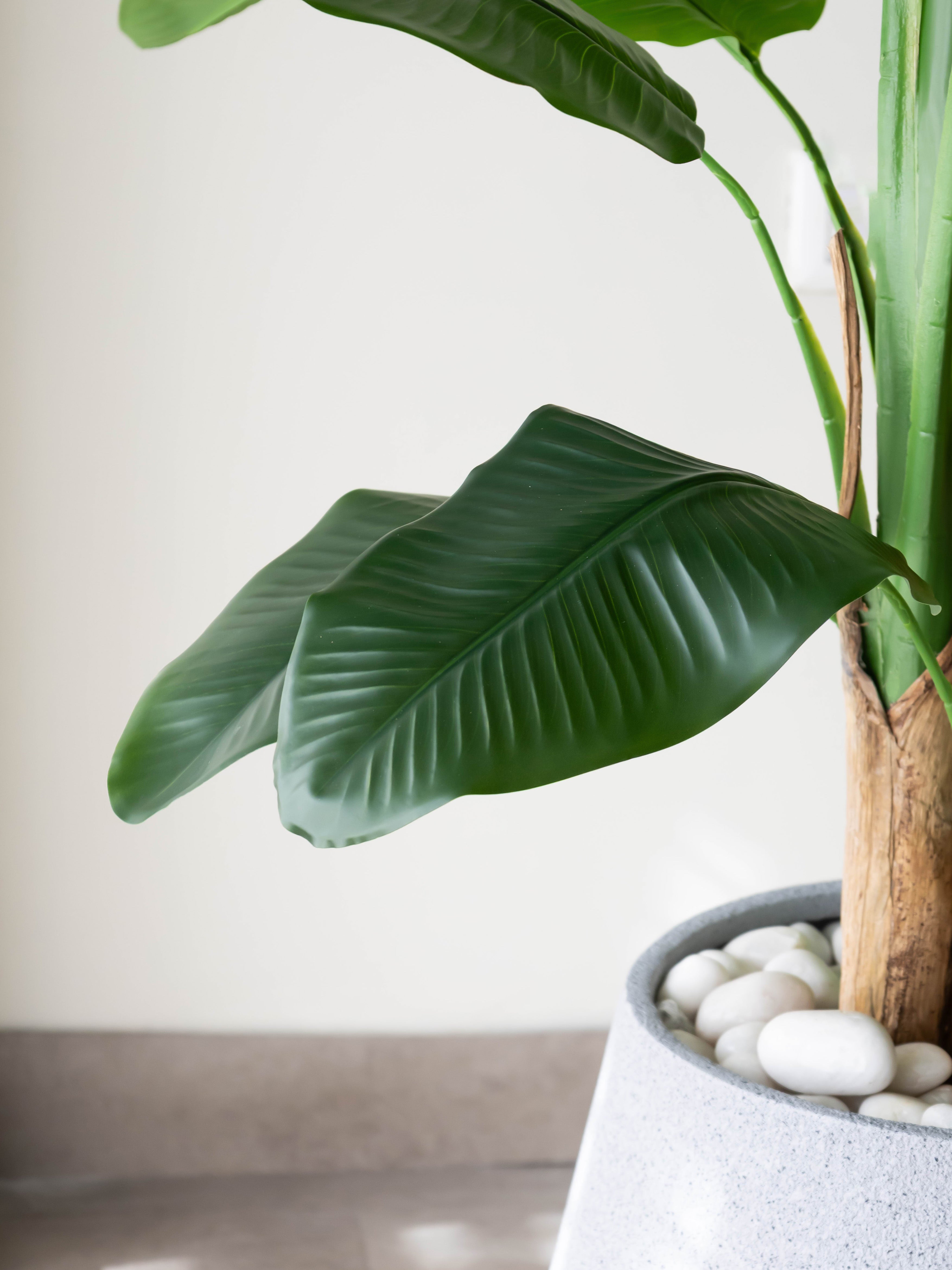 Artificial Strelitzia Statement Plant 7ft