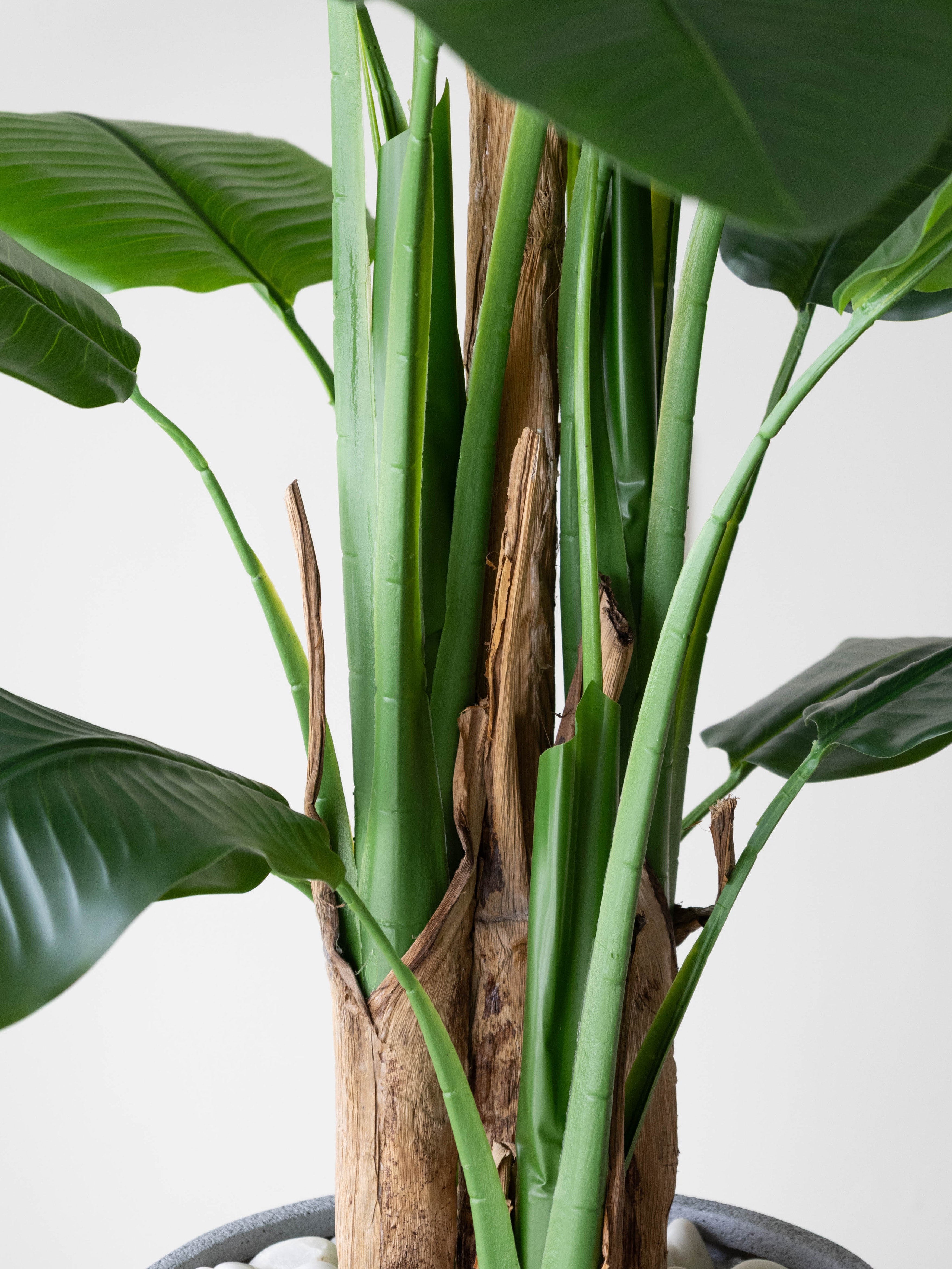 Artificial Strelitzia Statement Plant 7ft