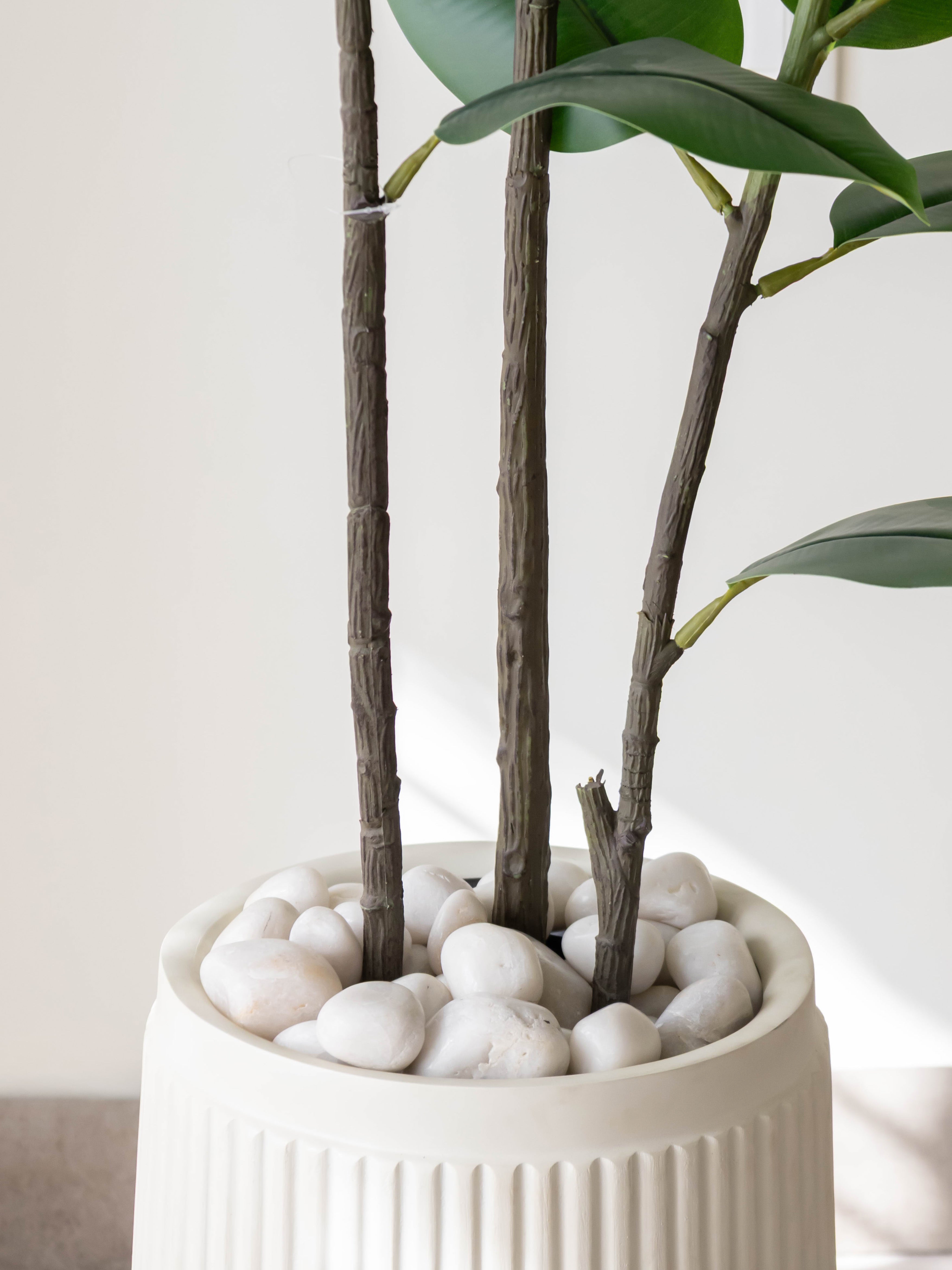 Artificial Vista Rubber Plant 5ft