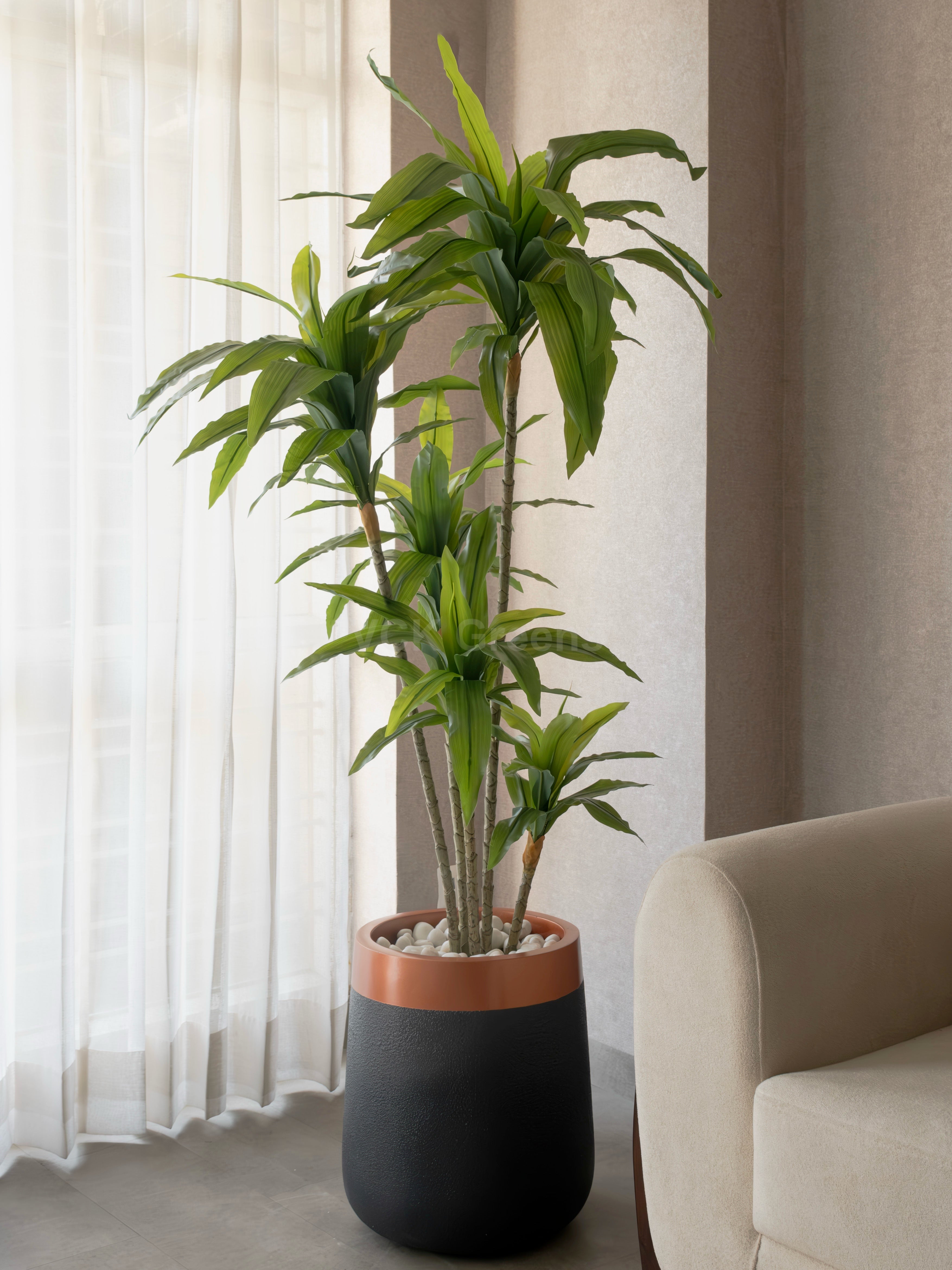 Artificial Green Dracaena Plant 5.2ft