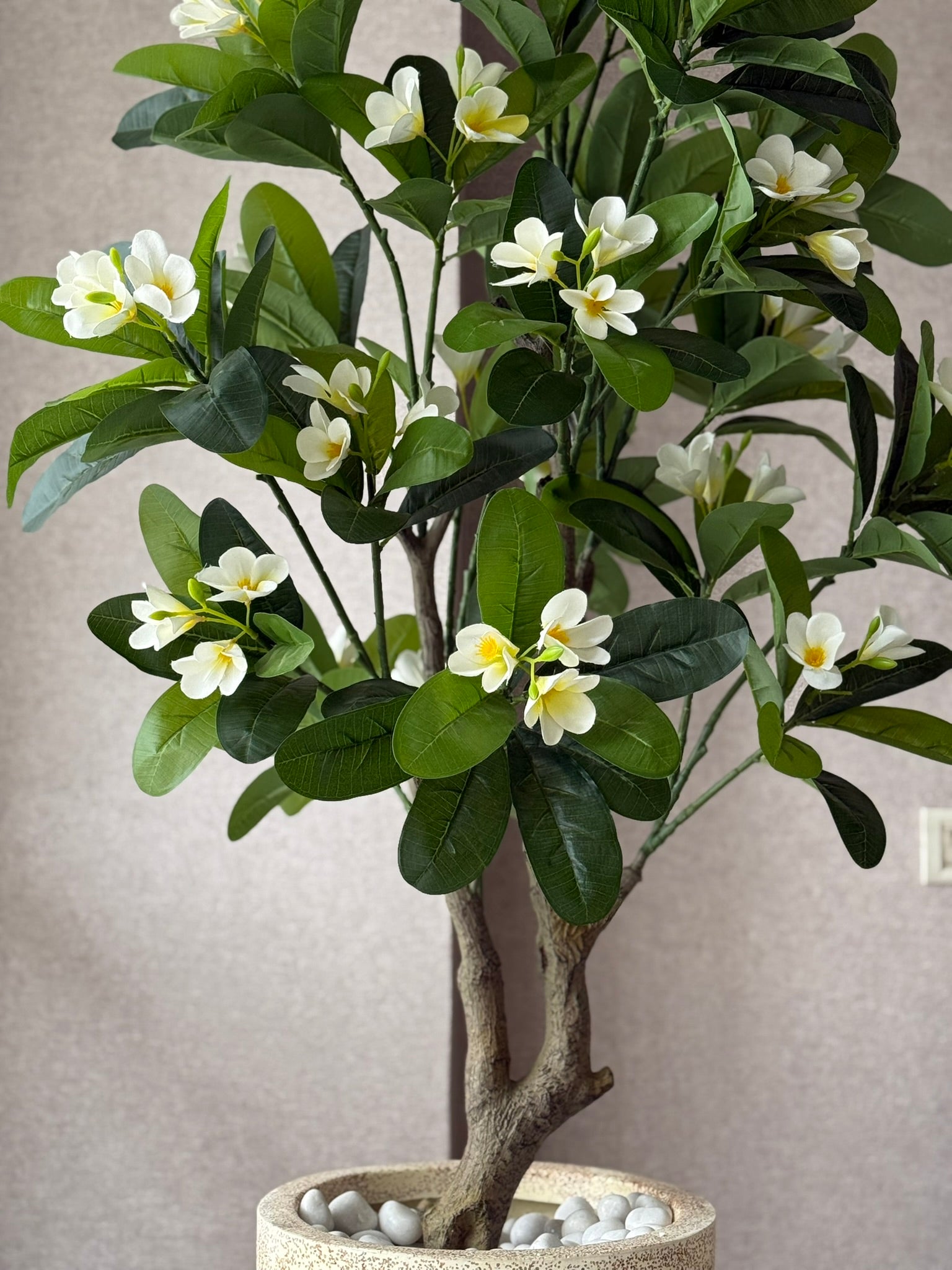 Artificial Frangipani Flower Plant 5ft