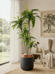 Artificial Green Dracaena Plant 5.2ft