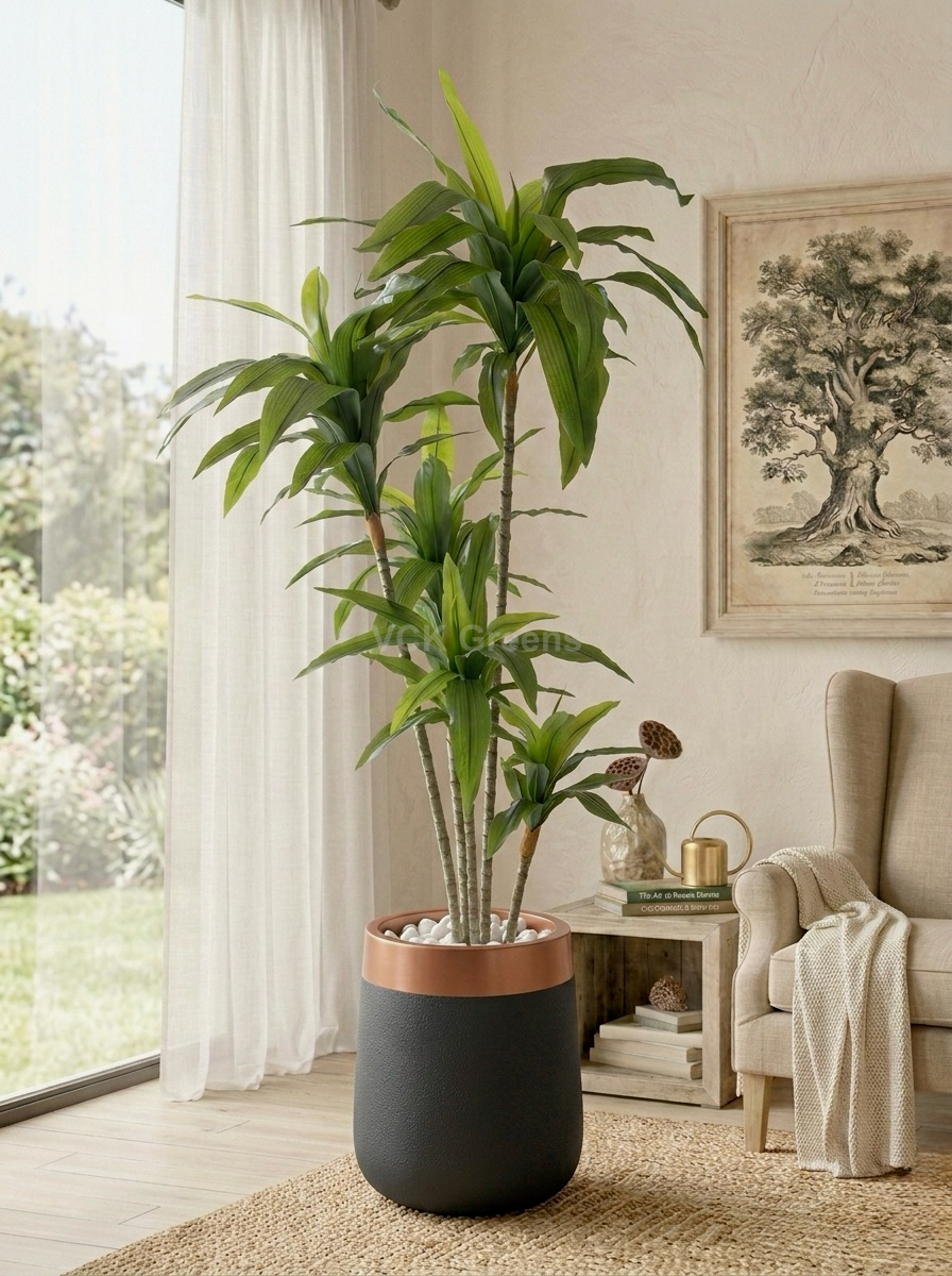Artificial Green Dracaena Plant 5.2ft