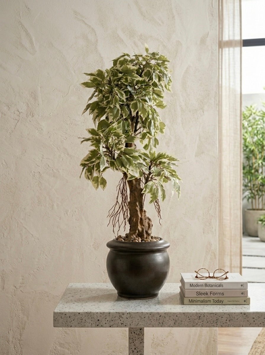 Artificial Ficus Leaves Bonsai 2 feet