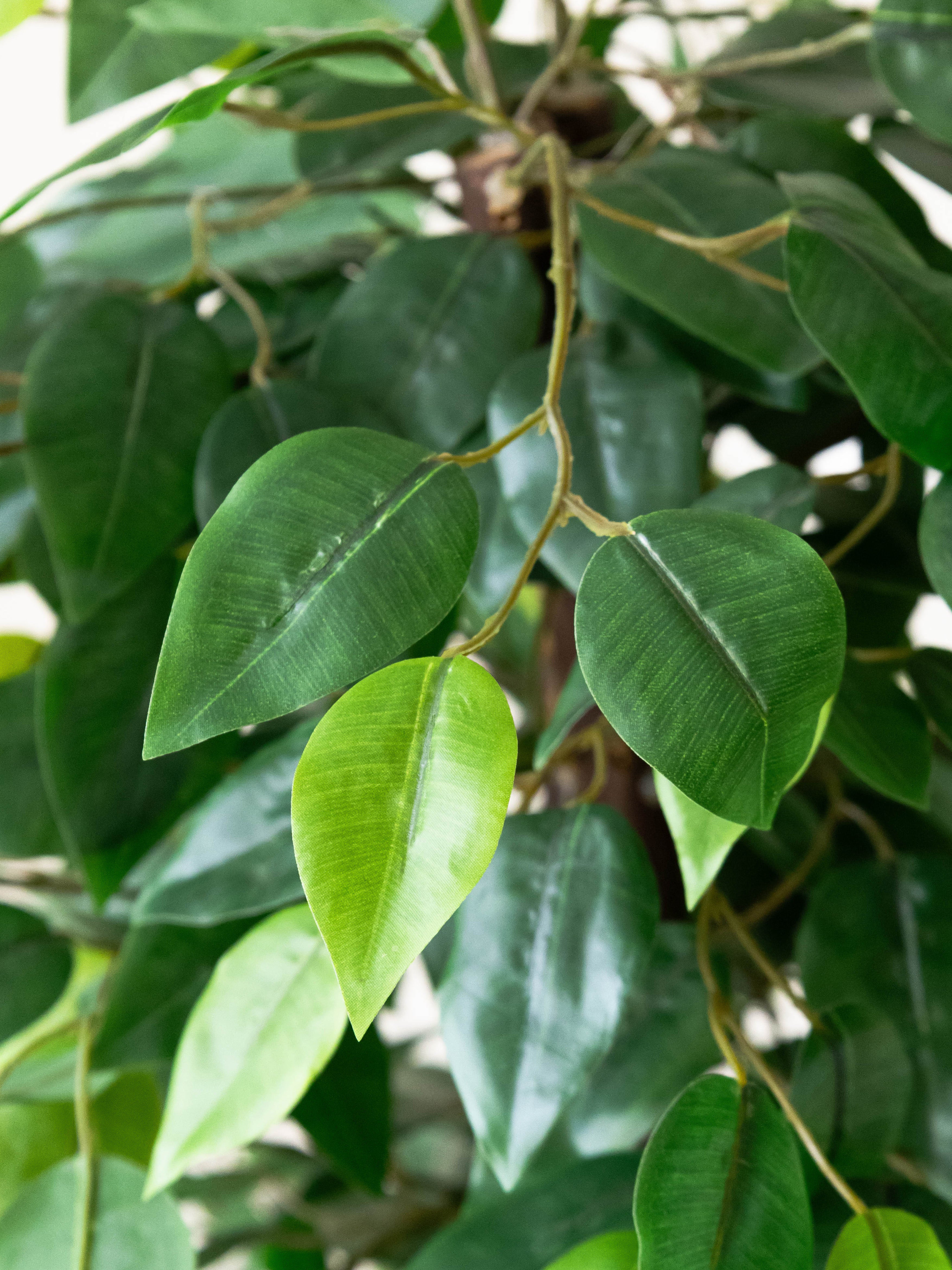 Artificial Green Ficus Tree 3ft