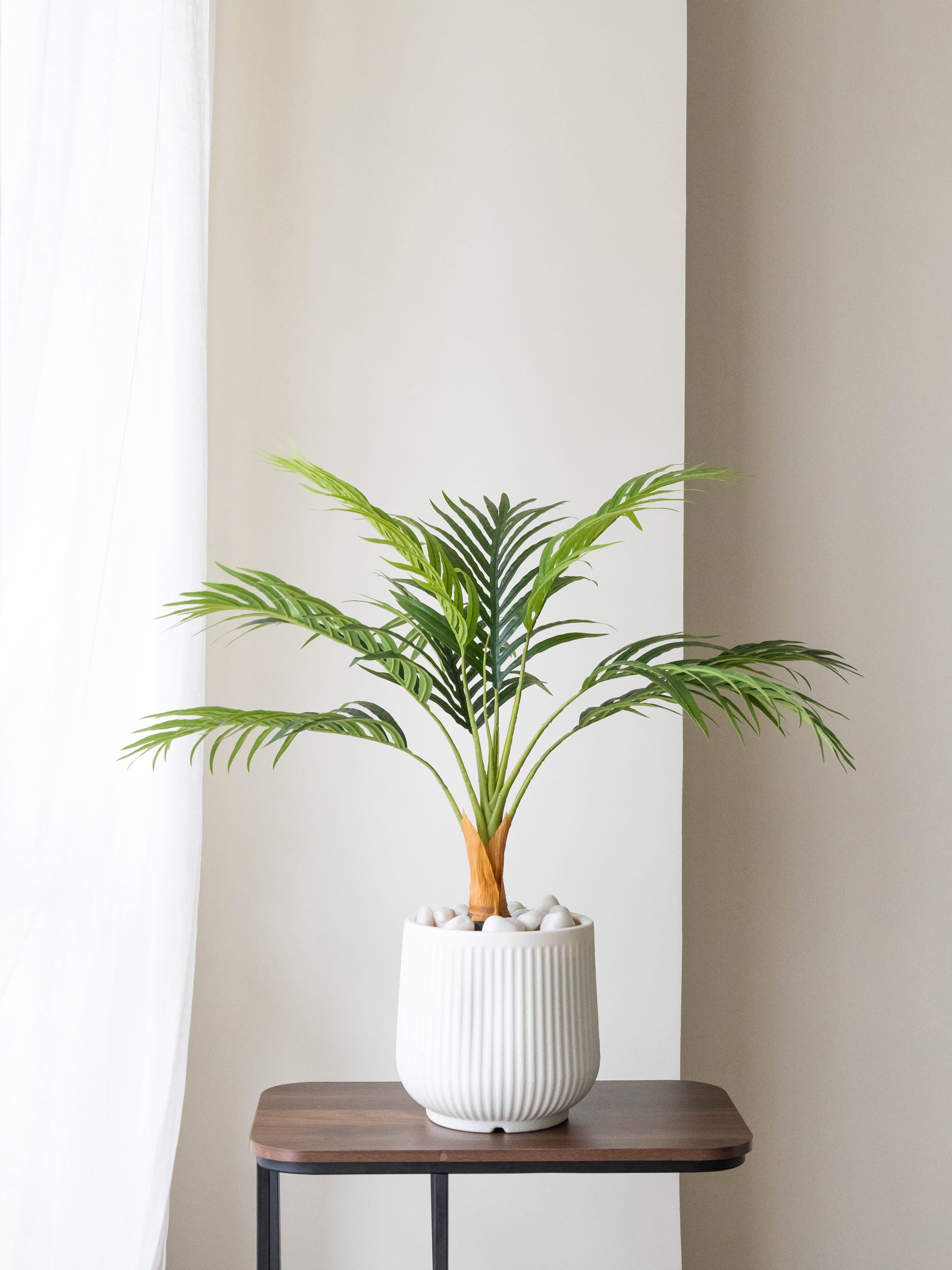 Artificial Areca Palm in White Pot 2.6ft