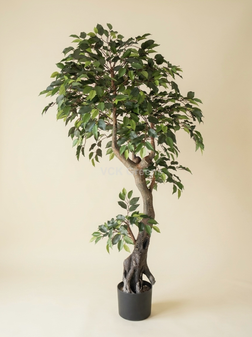 Artificial Ficus Bonsai Tree 6.3ft