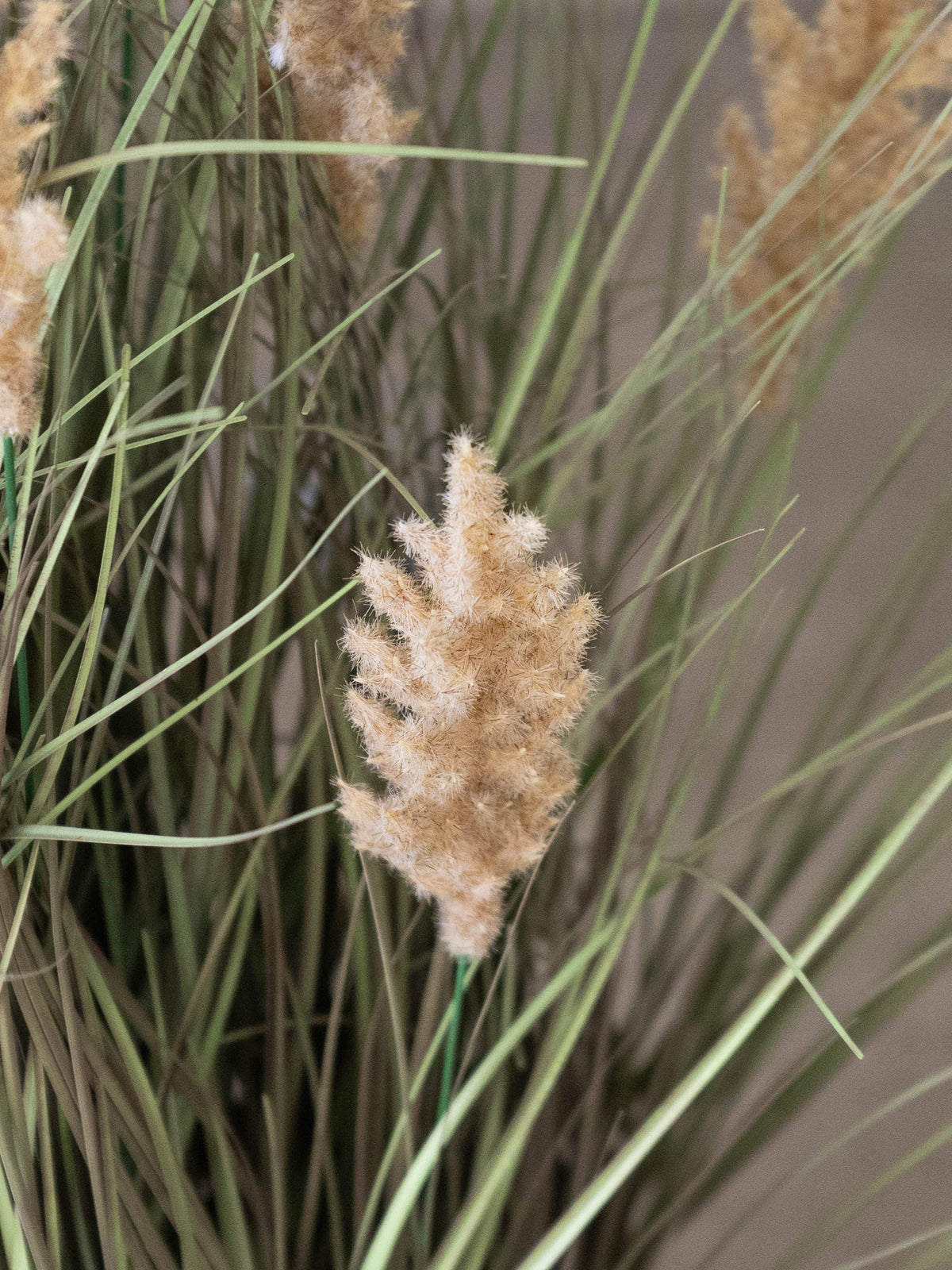 Artificial Pampas Whisper Grass Plant 2ft