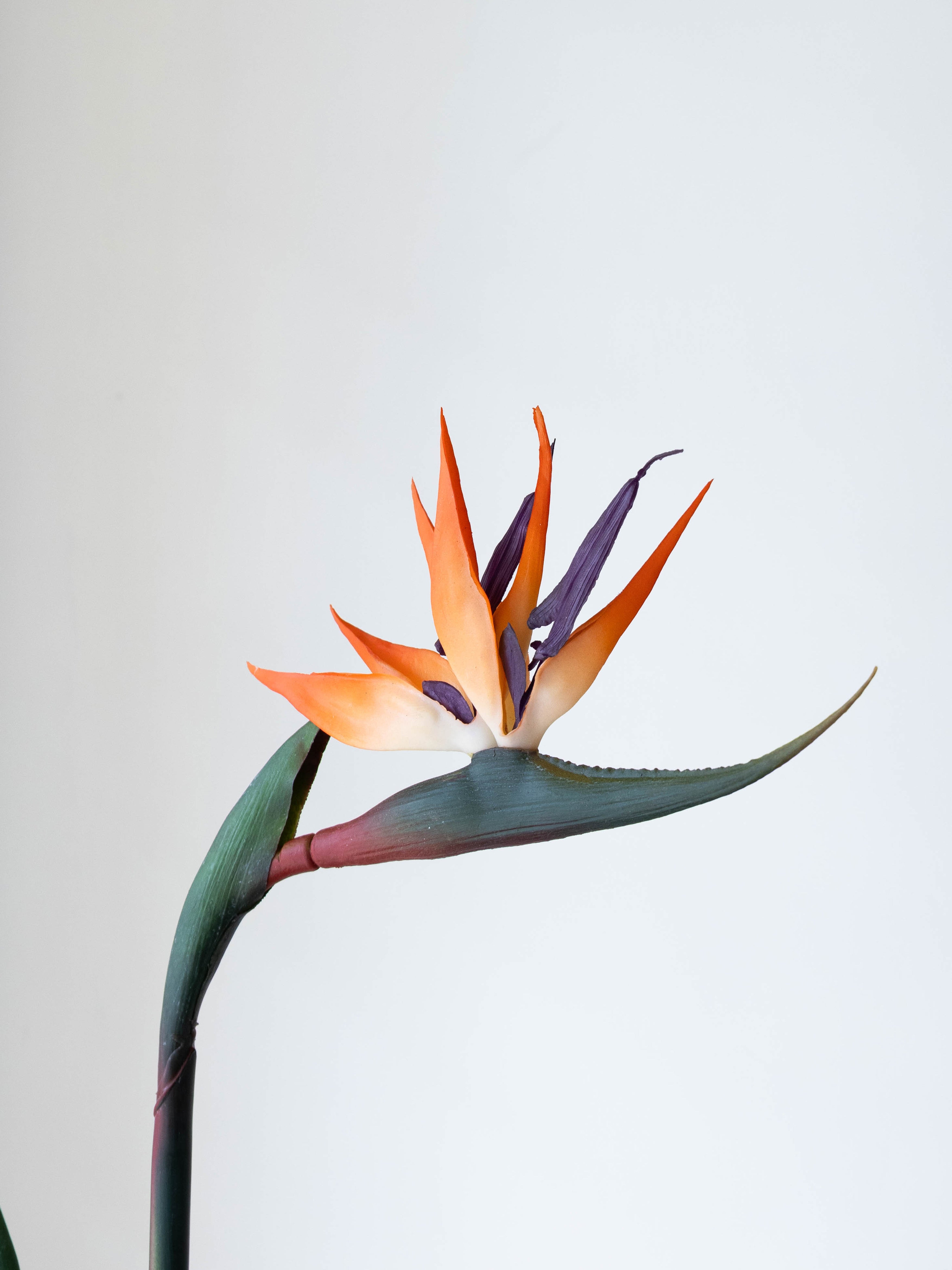 Artificial Strelitzia Flower Stem