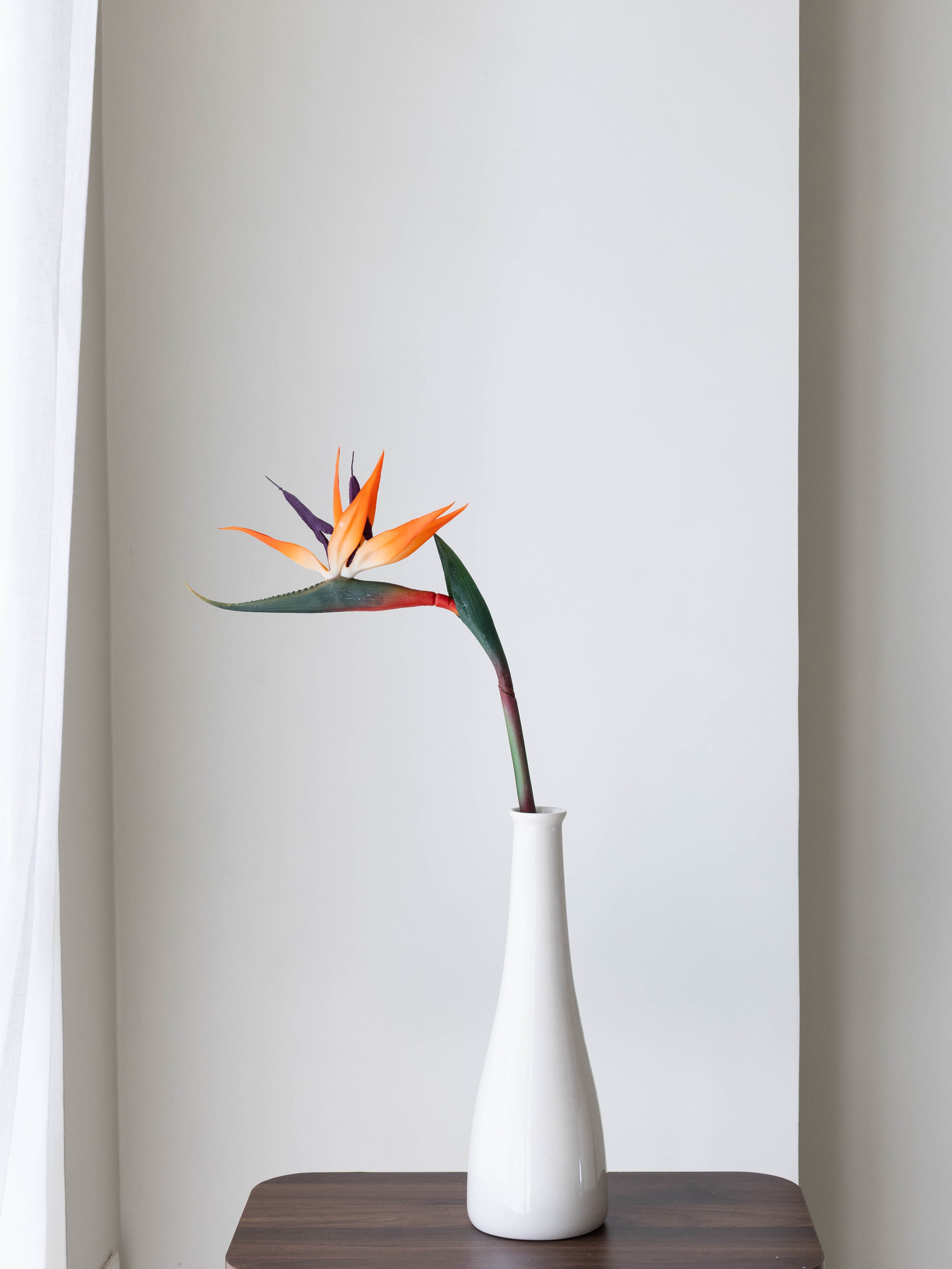 Artificial Strelitzia Flower Stem