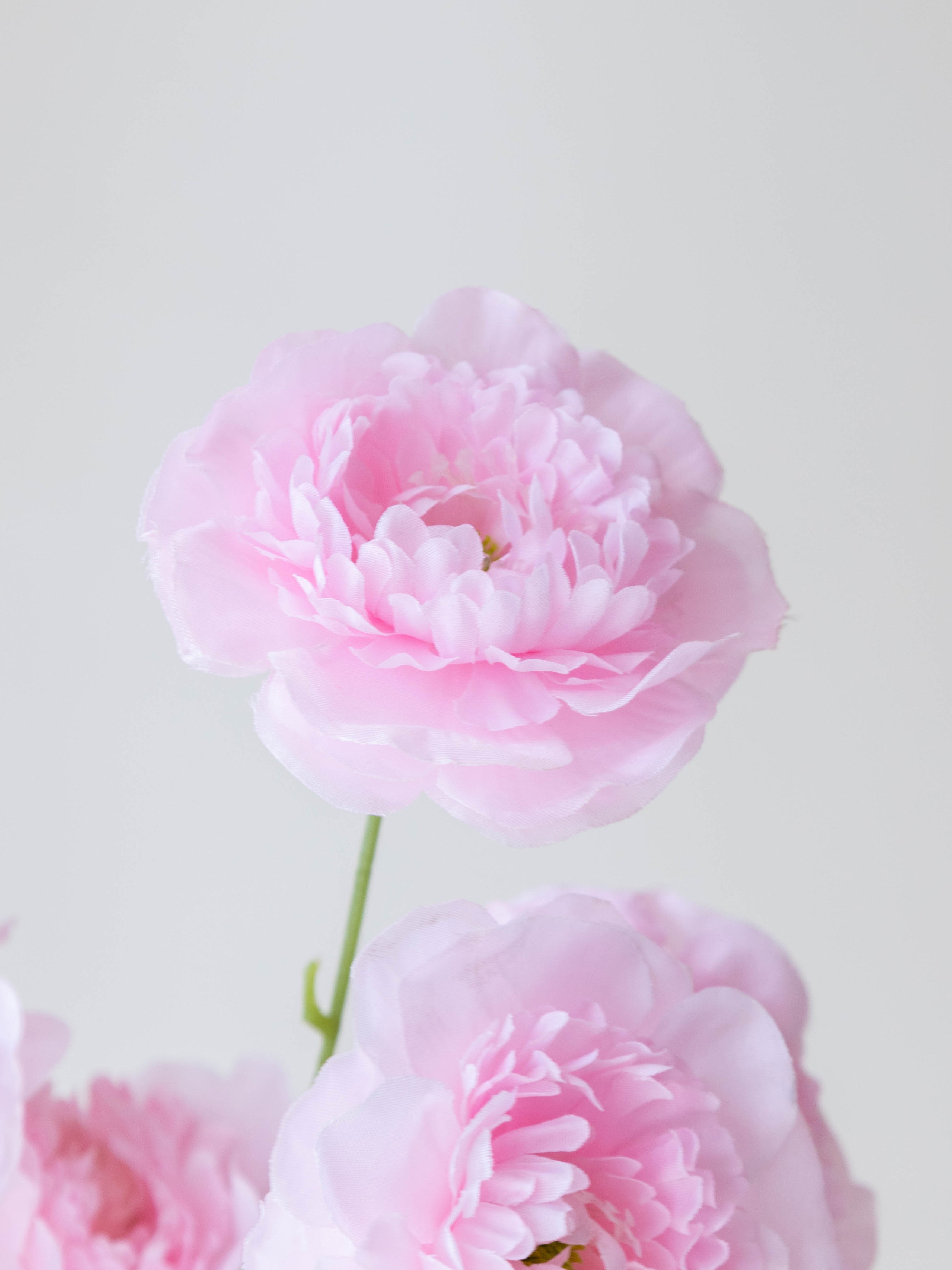 Artificial Pink Peony Flower Stem