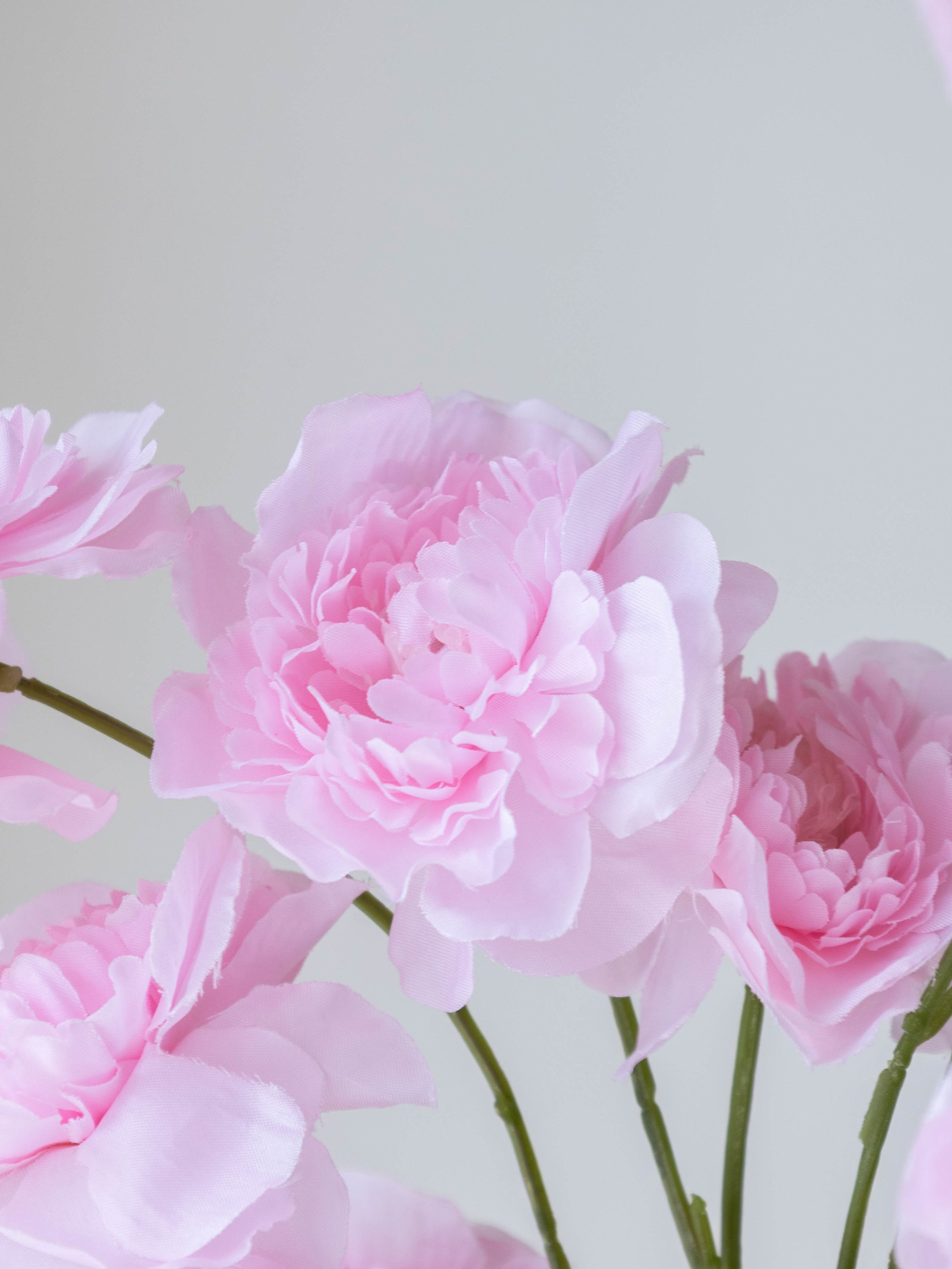 Artificial Pink Peony Flower Stem