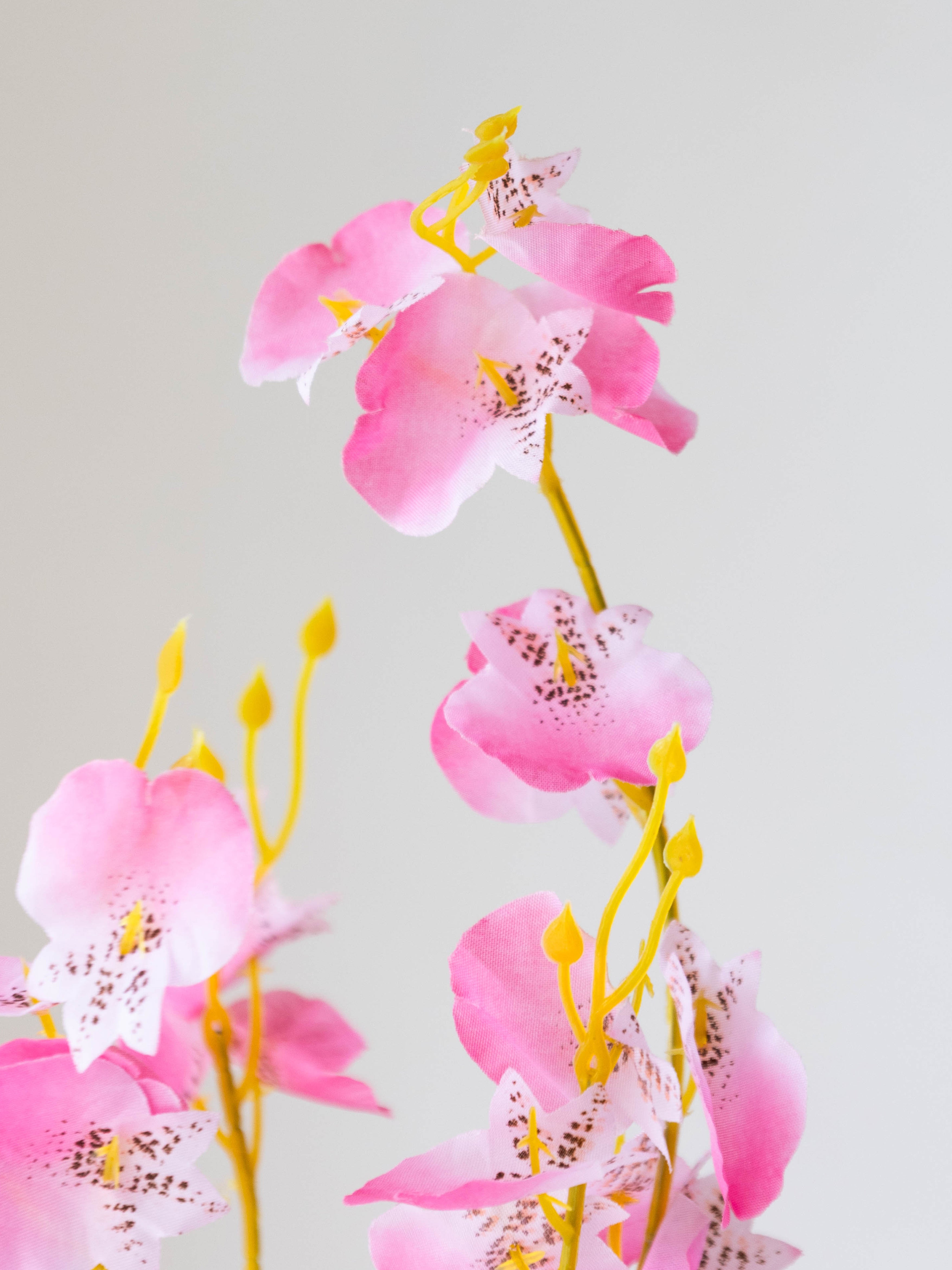 Artificial Pink Oncidium Orchid Flower Stems (Set of 3)