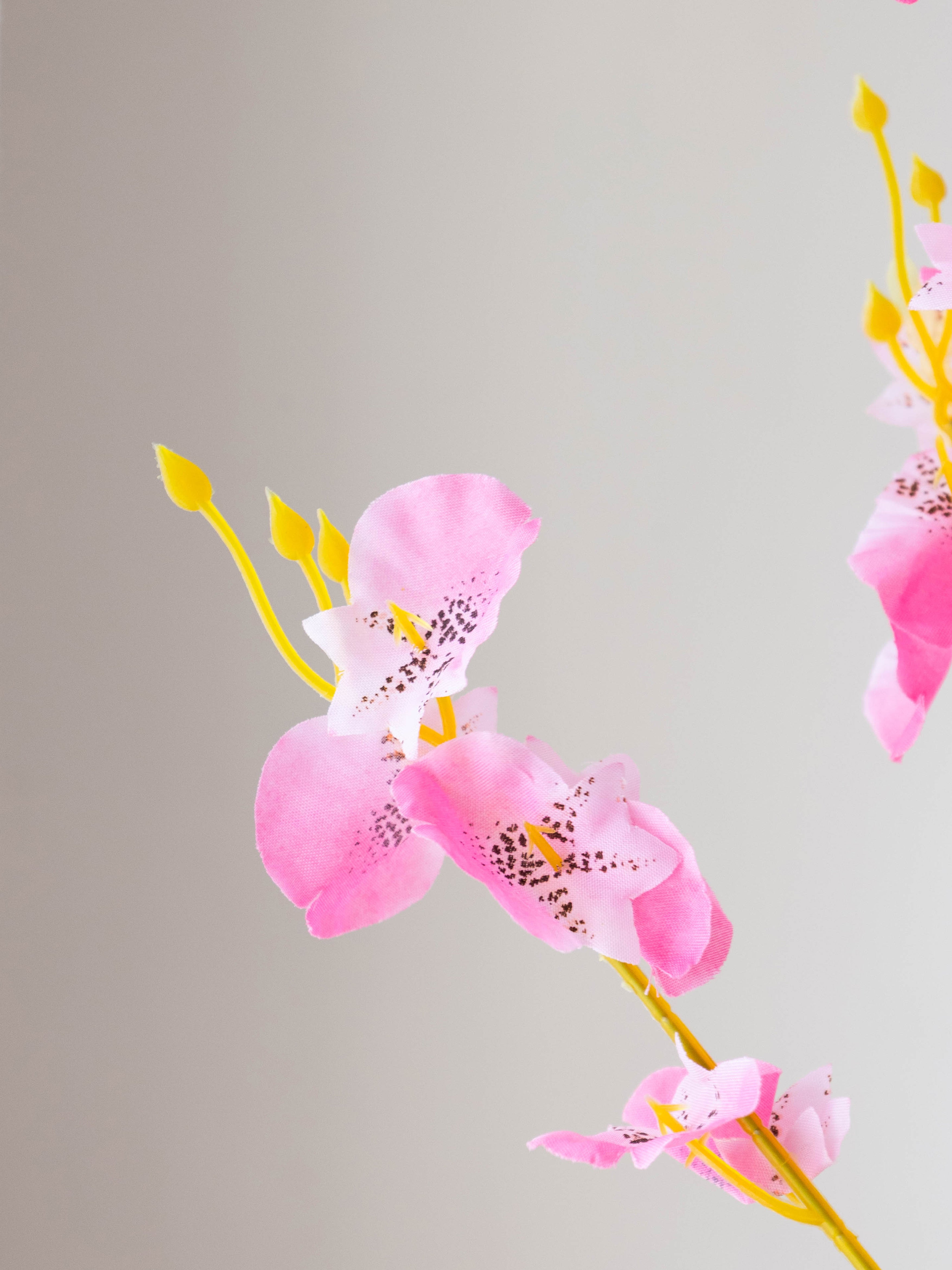 Artificial Pink Oncidium Orchid Flower Stems (Set of 3)
