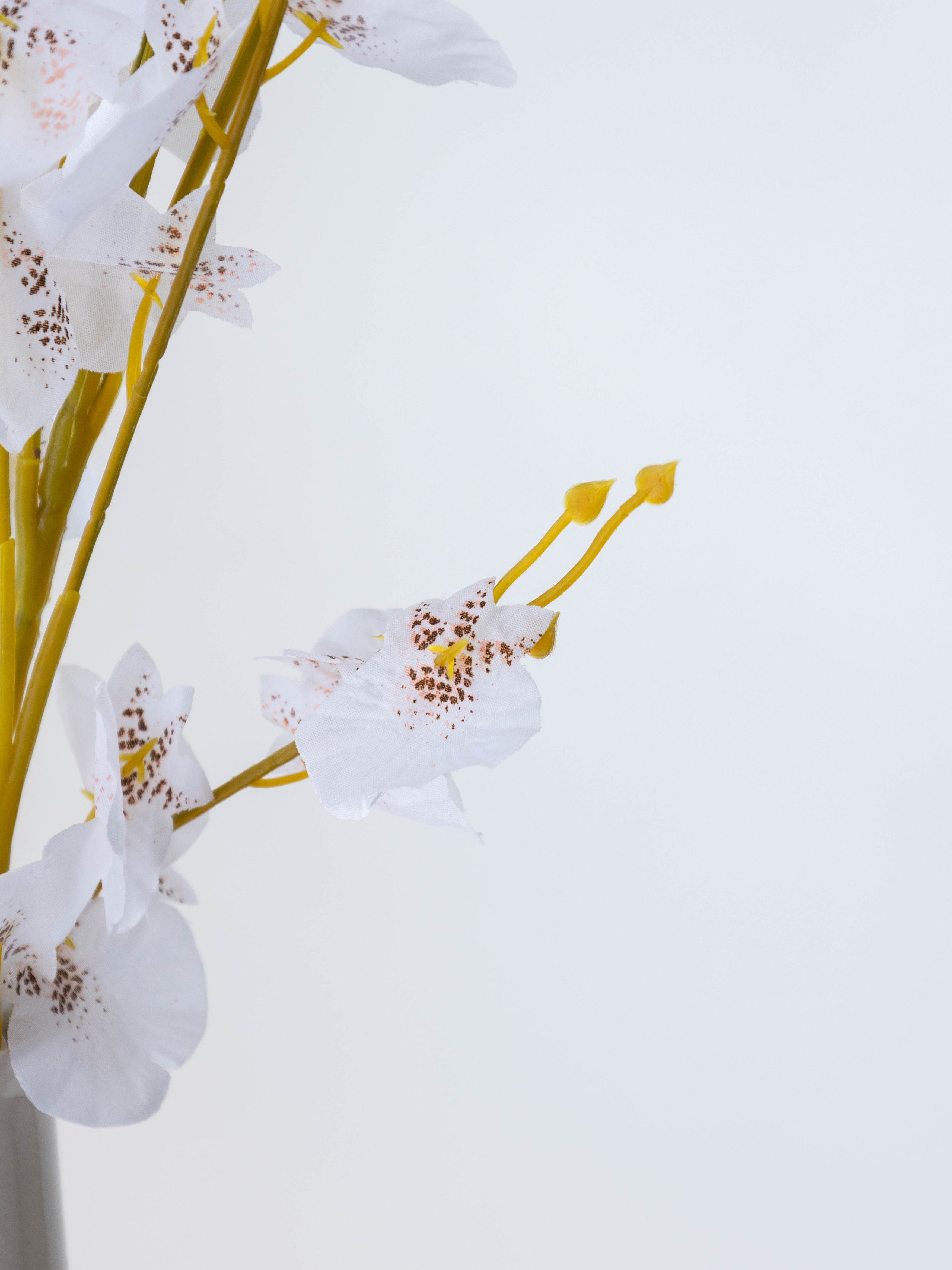 Artificial White Oncidium Orchid Flower Stems (Set of 3)
