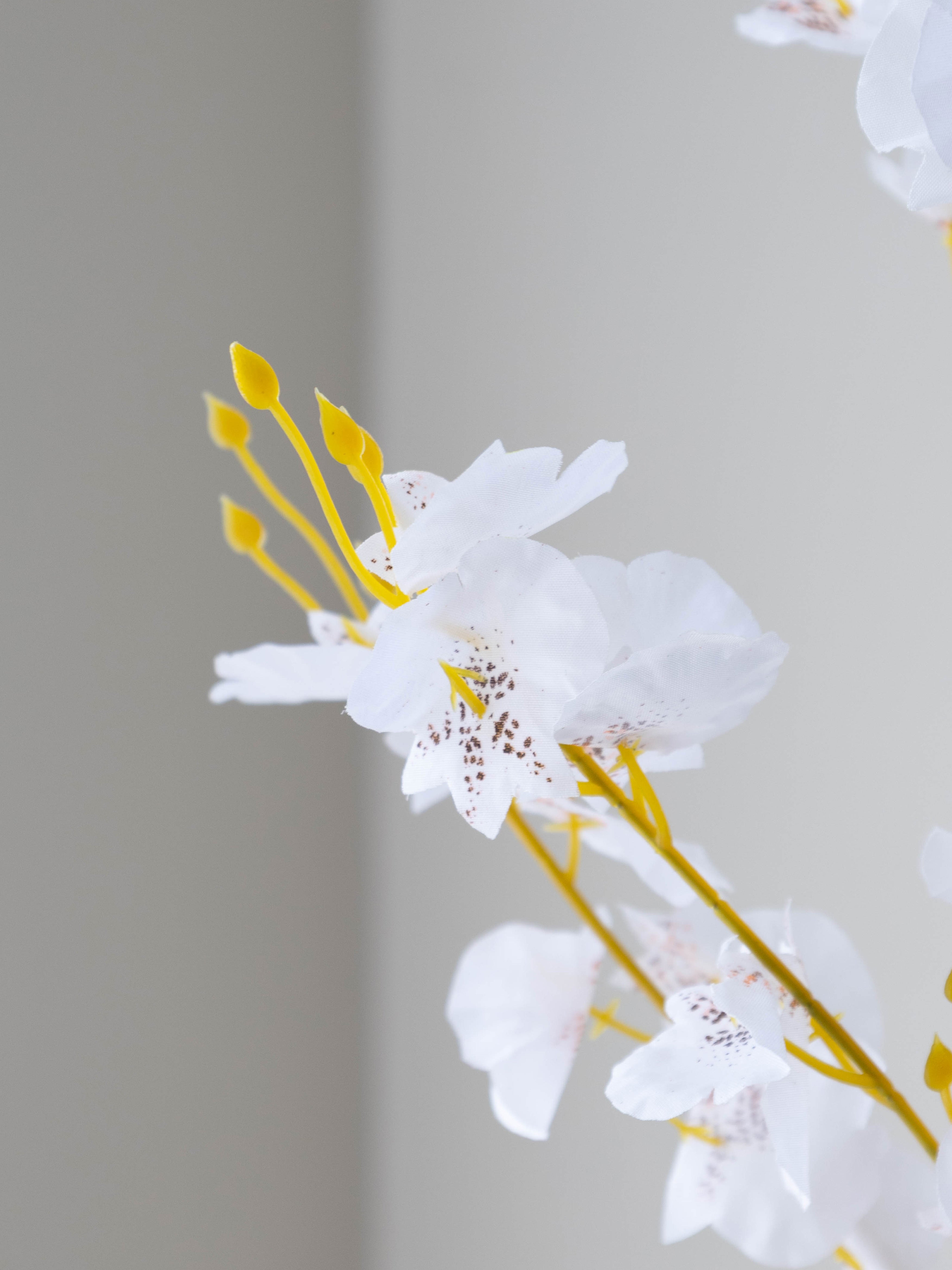 Artificial White Oncidium Orchid Flower Stems (Set of 3)