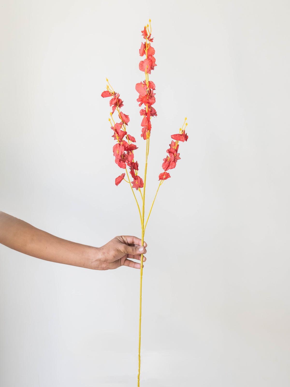 Artificial Red Oncidium Orchid Flower Stems (Set of 3)