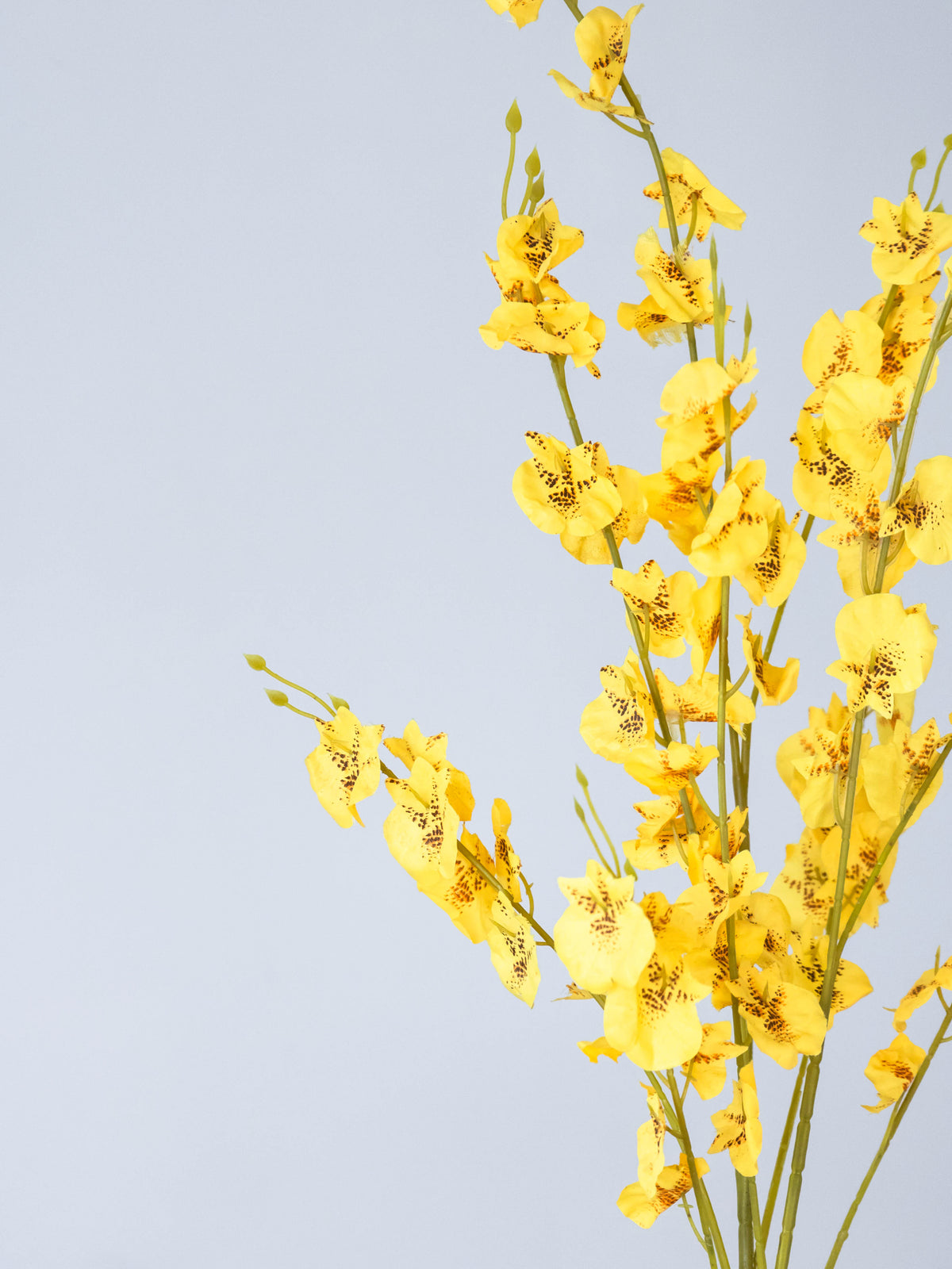 Artificial Yellow Oncidium Orchid Stems (Set of 3)