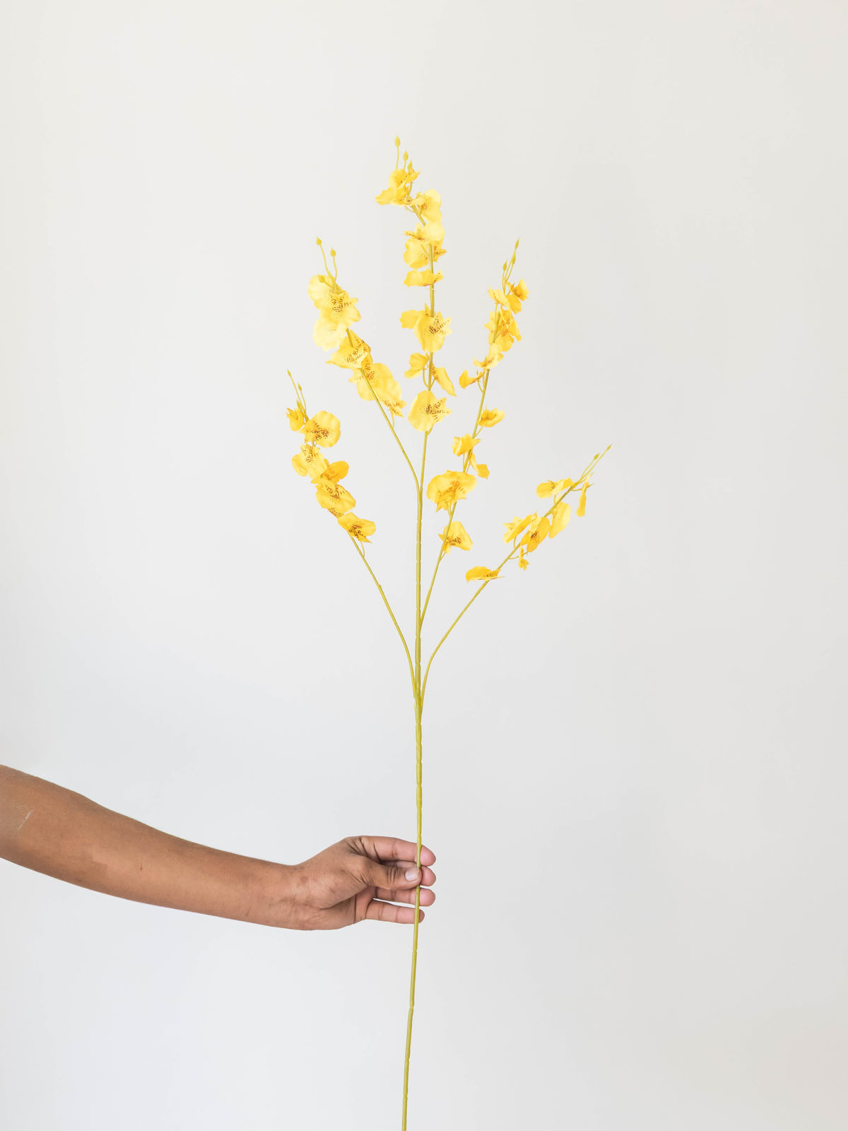 Artificial Yellow Oncidium Orchid Stems (Set of 3)