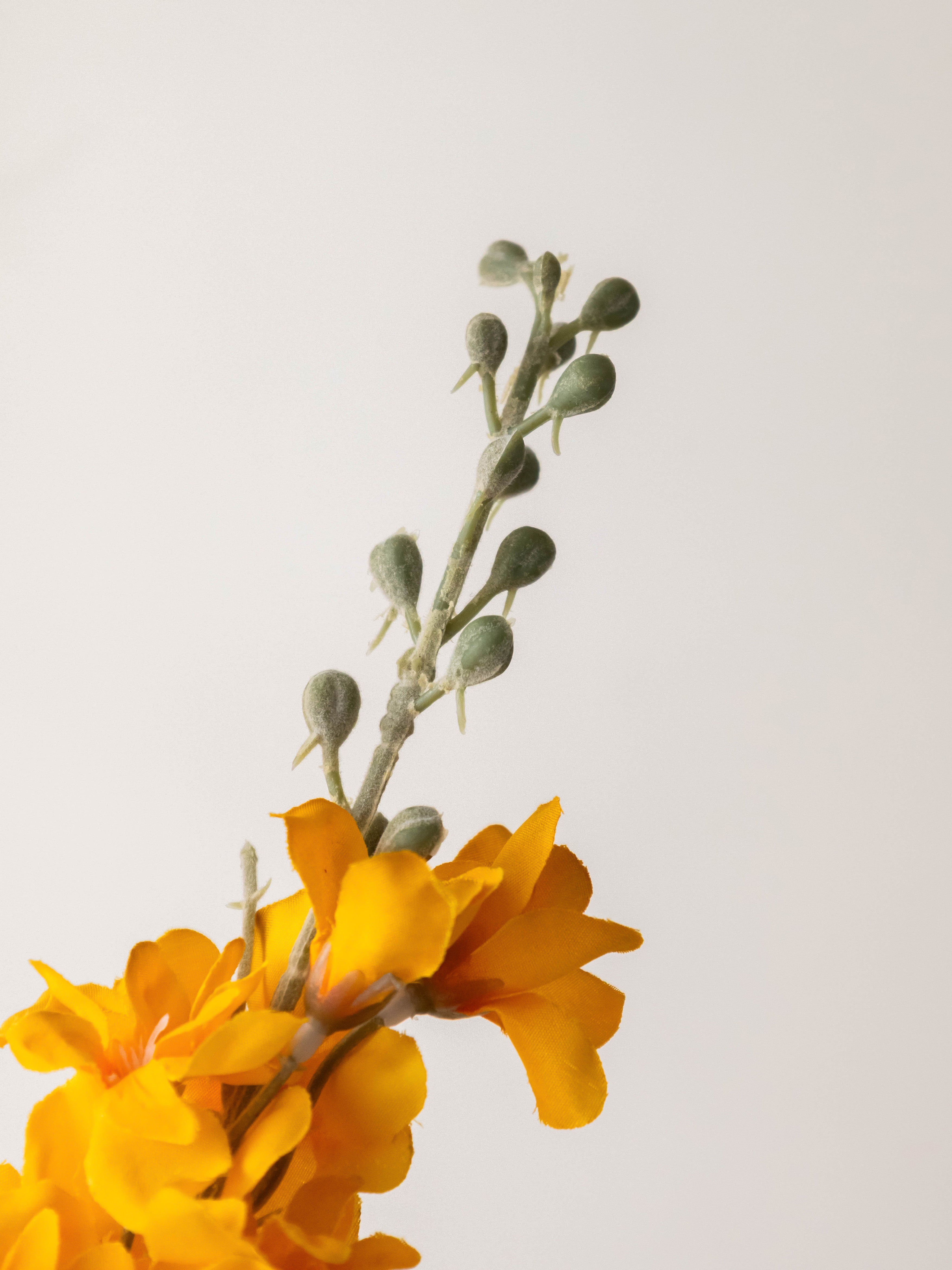 Artificial Orange Delphinium Flower Stem