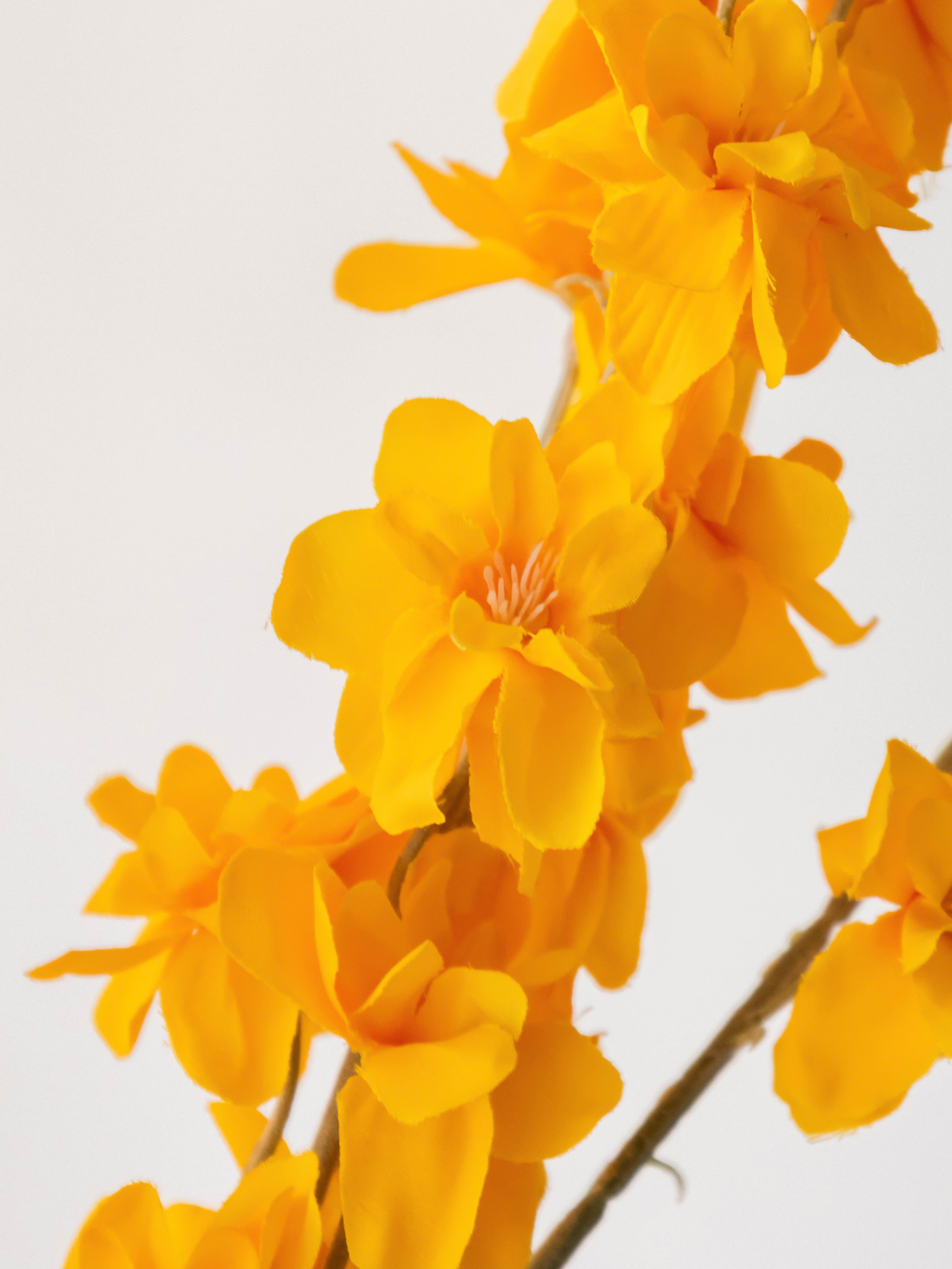 Artificial Orange Delphinium Flower Stem