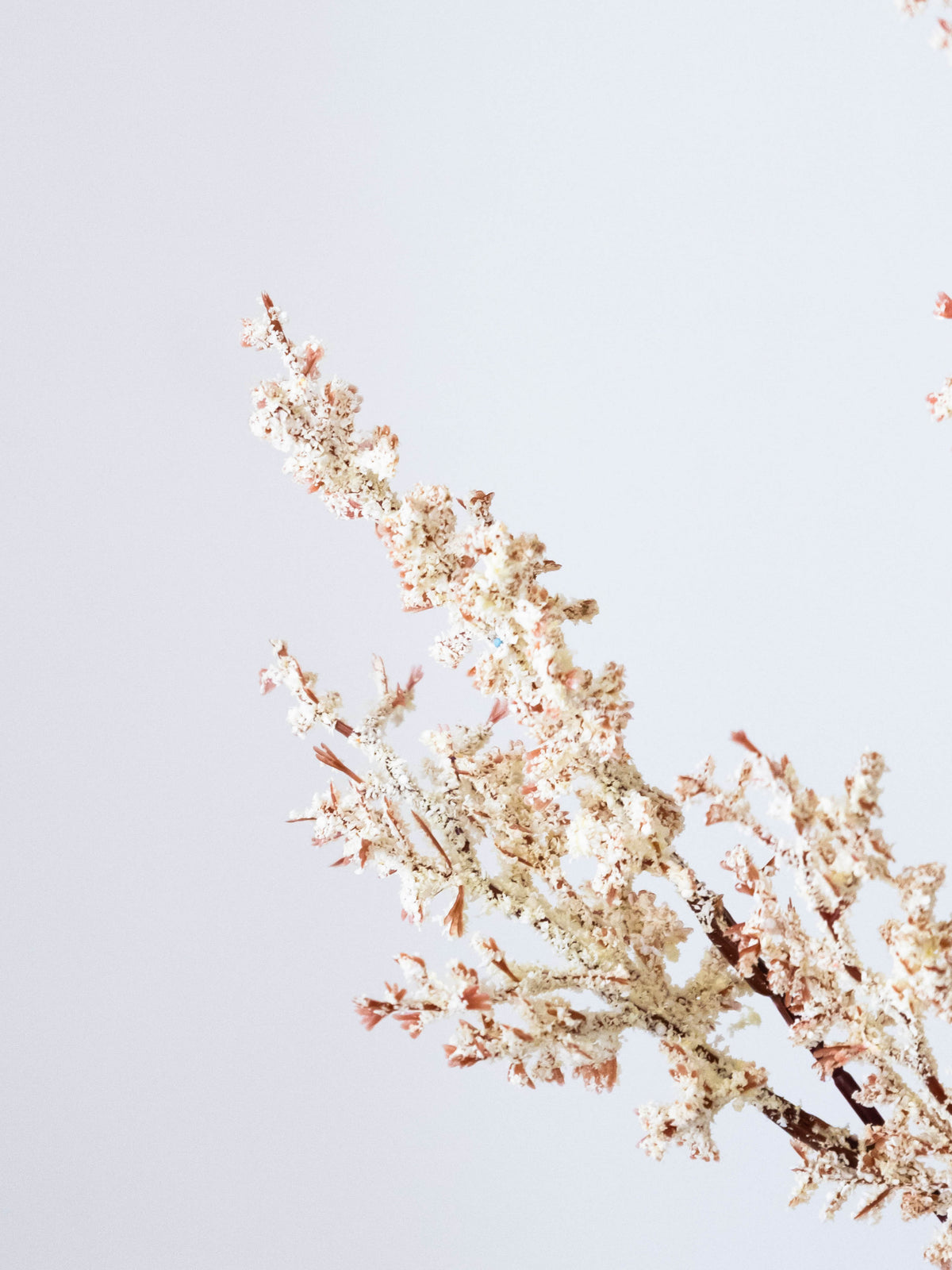 Artificial Limonium Stem 96cm