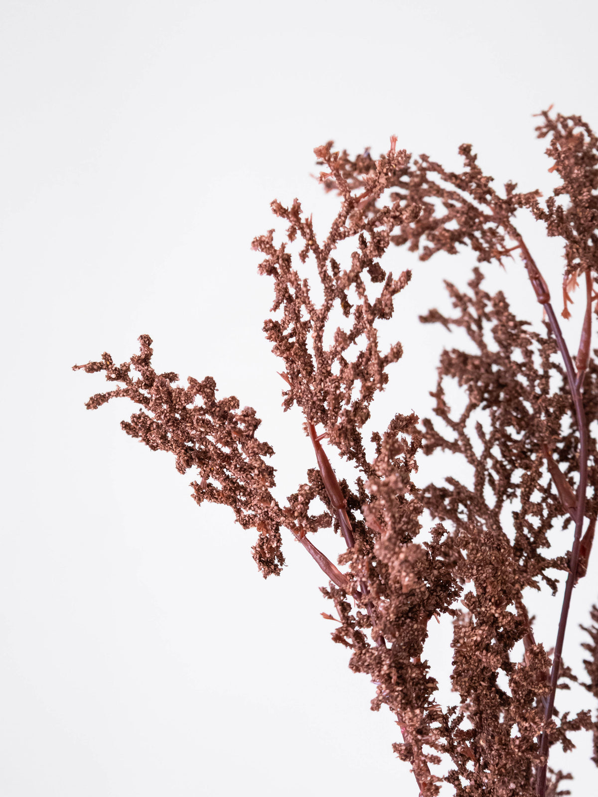 Artificial Limonium Stem 96cm