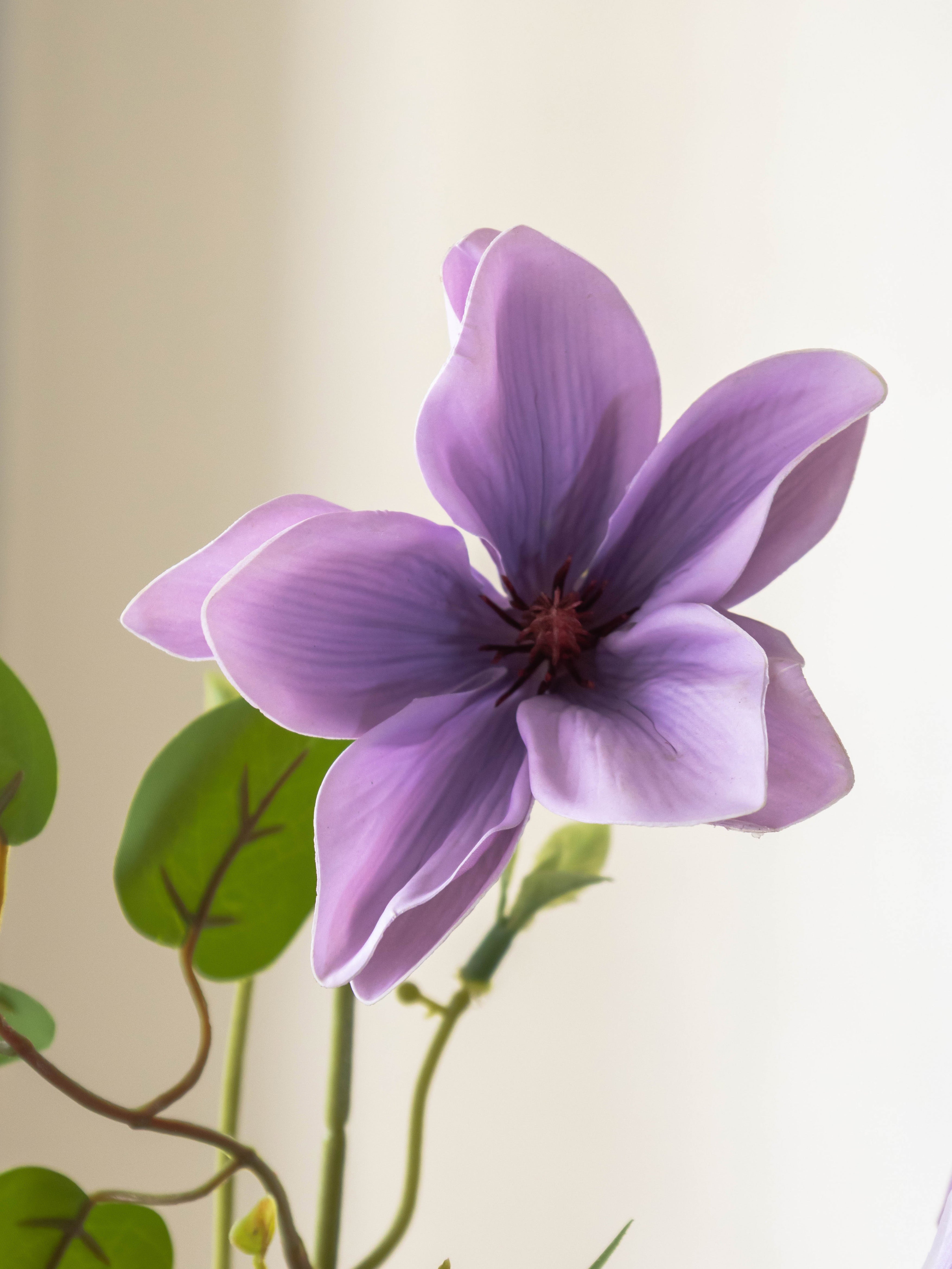 Artificial Lavender Magnolia Stem