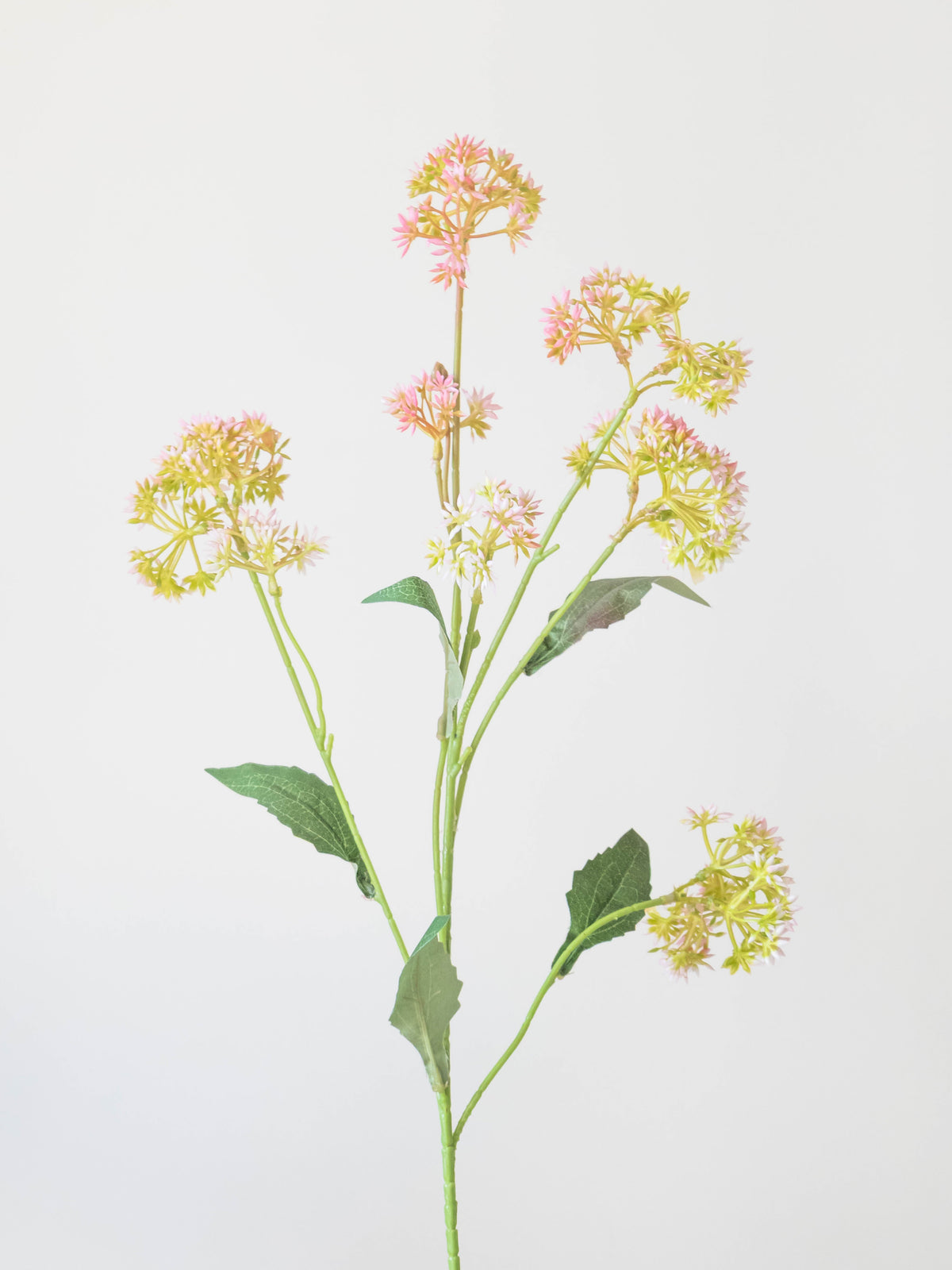 Artificial Star Cluster Floral Stem 80cm