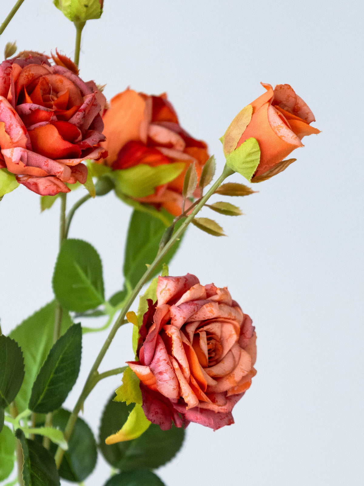 Artificial Rosette Rose Stem 65cm