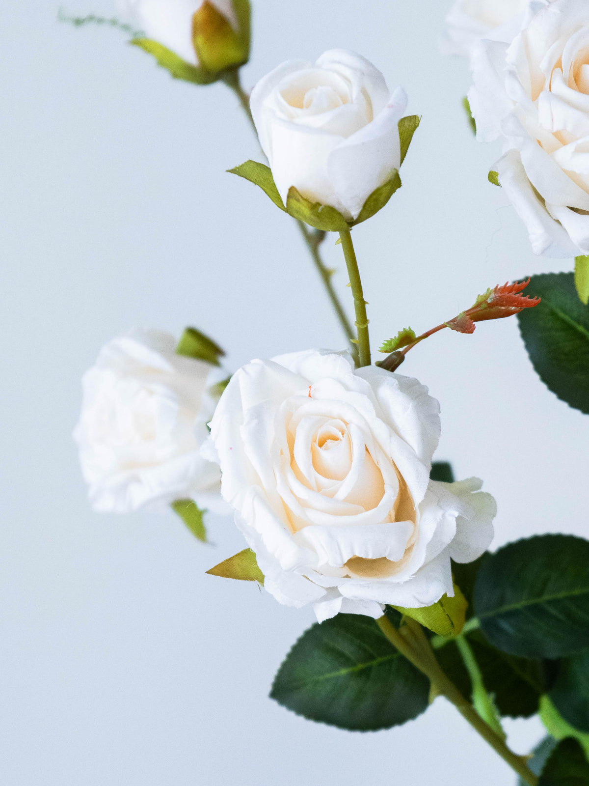 Artificial Rosette Rose Stem 65cm