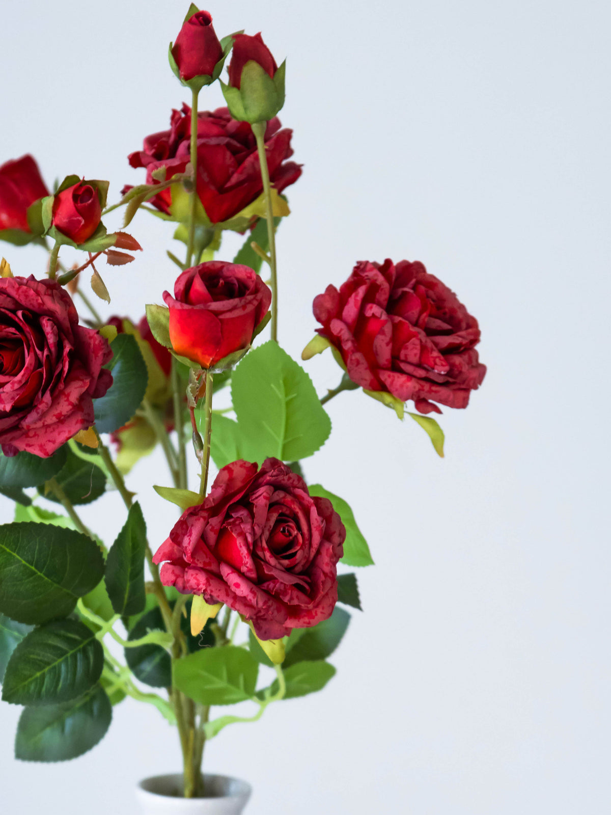 Artificial Rosette Rose Stem 65cm