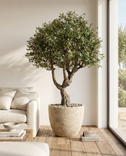 Artificial Veranda Grand Olive Tree 7.8ft