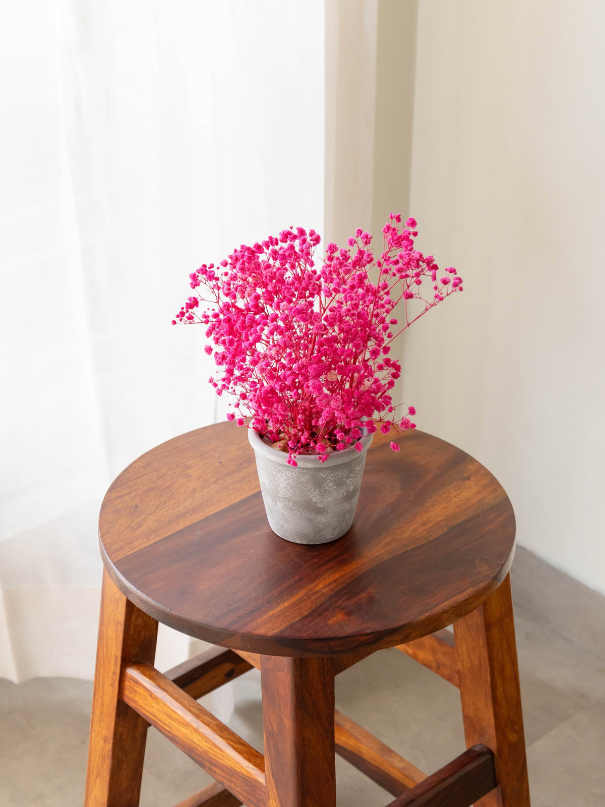 Preserved Baby’s Breath Table Top 24cm