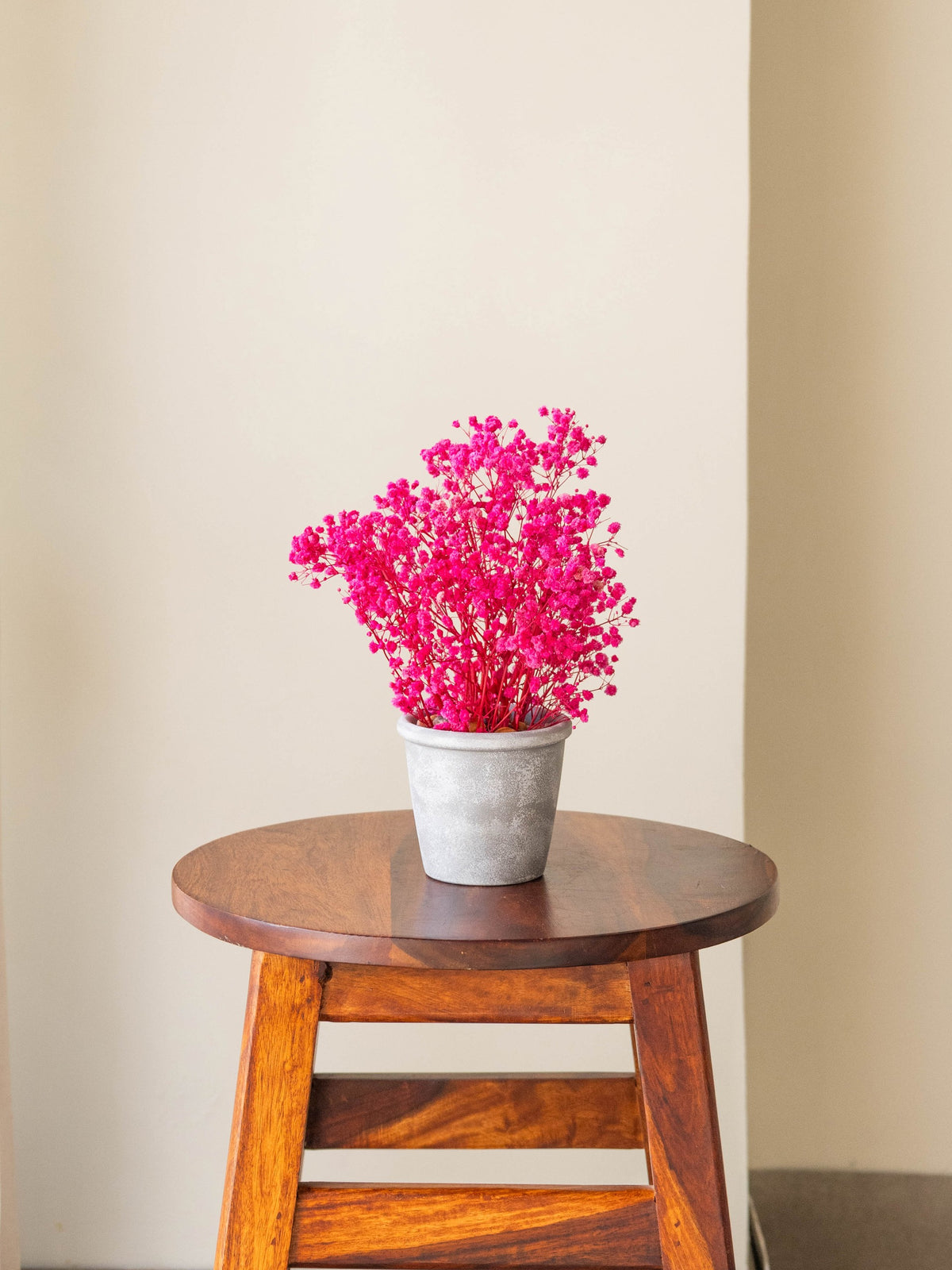 Preserved Baby’s Breath Table Top 24cm