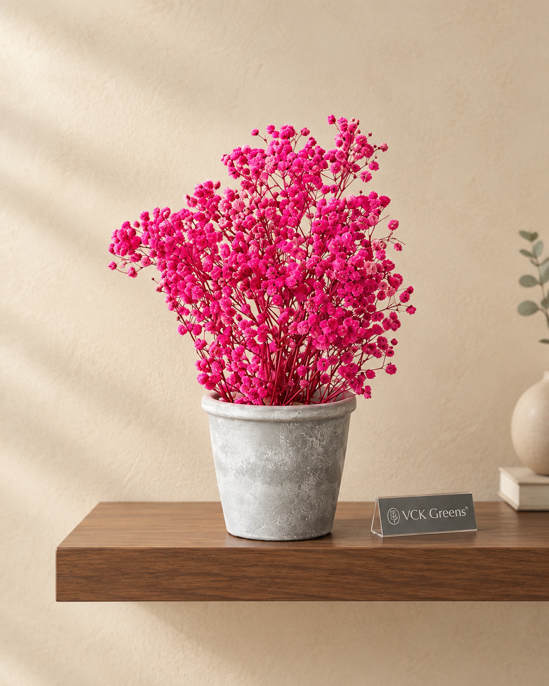 Preserved Baby’s Breath Table Top 24cm