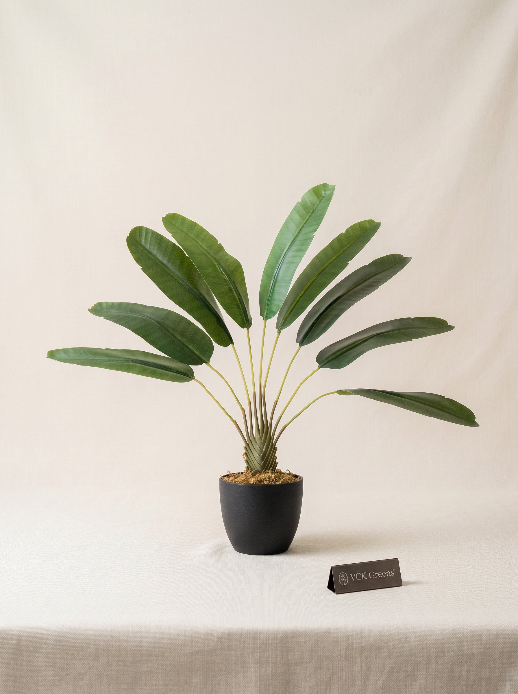 Artificial Traveller's Banana Leaf Plant 2ft