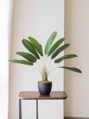 Artificial Traveller's Banana Leaf Plant 2ft