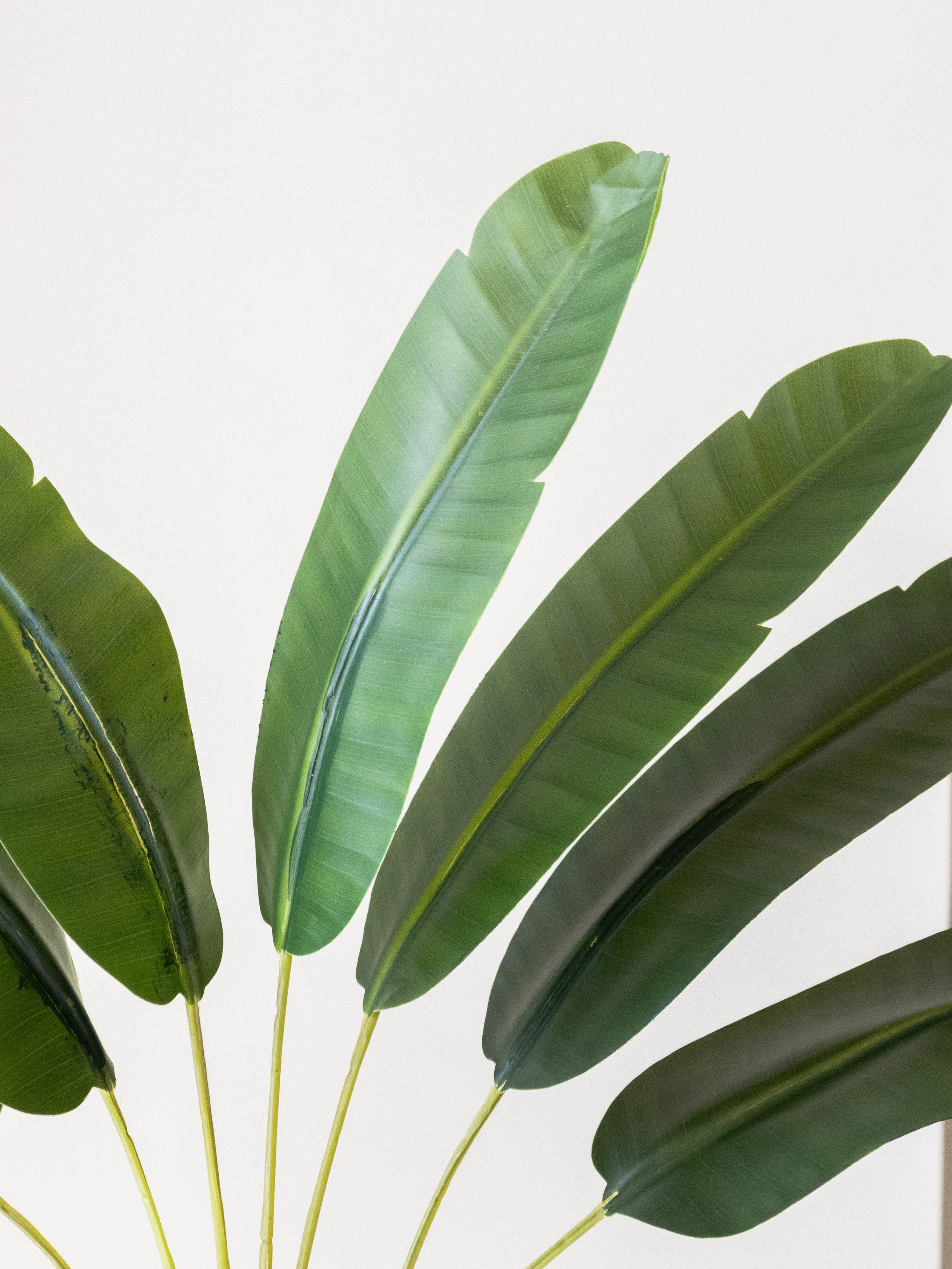 Artificial Traveller's Banana Leaf Plant 2ft