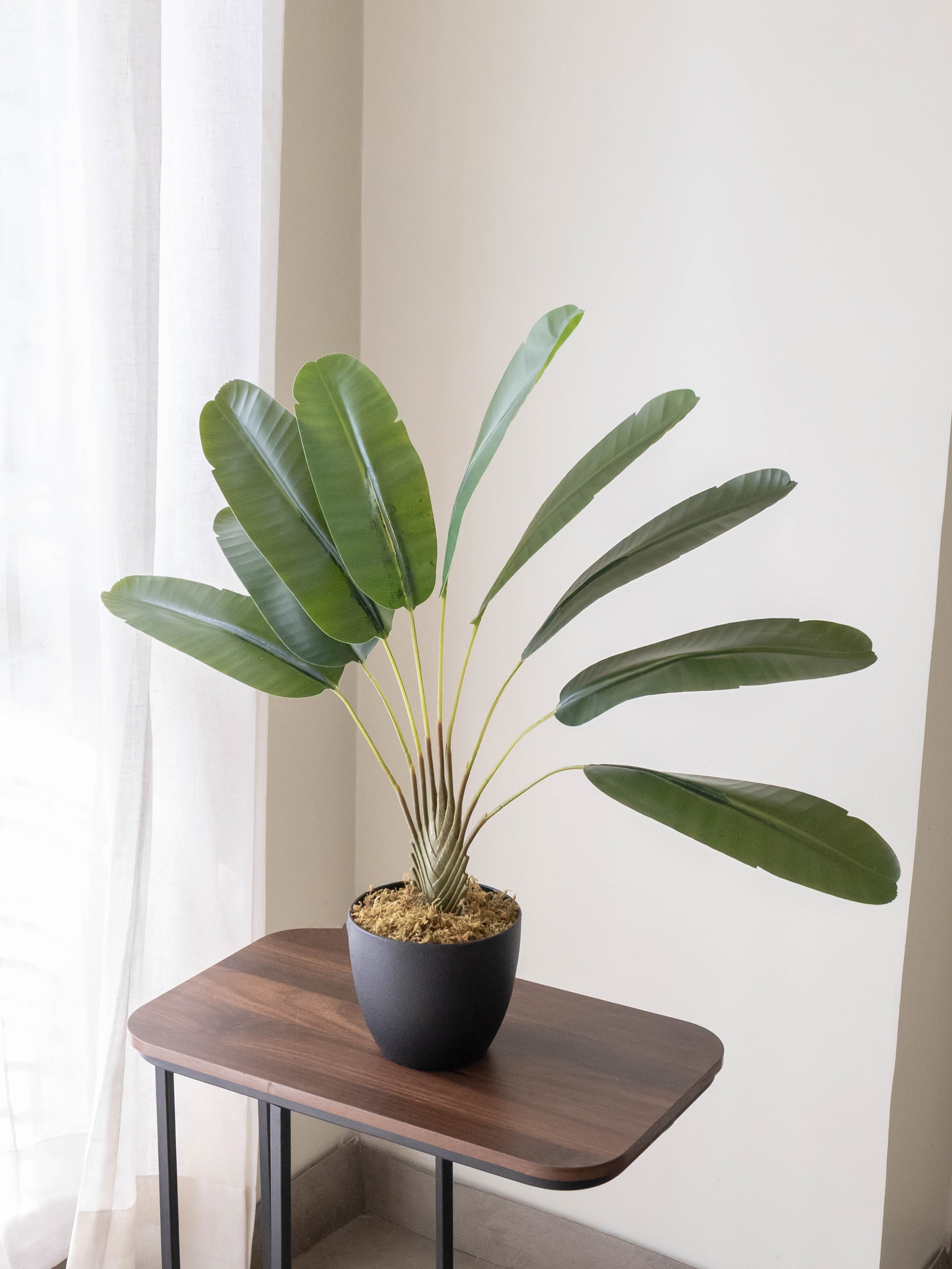 Artificial Traveller's Banana Leaf Plant 2ft
