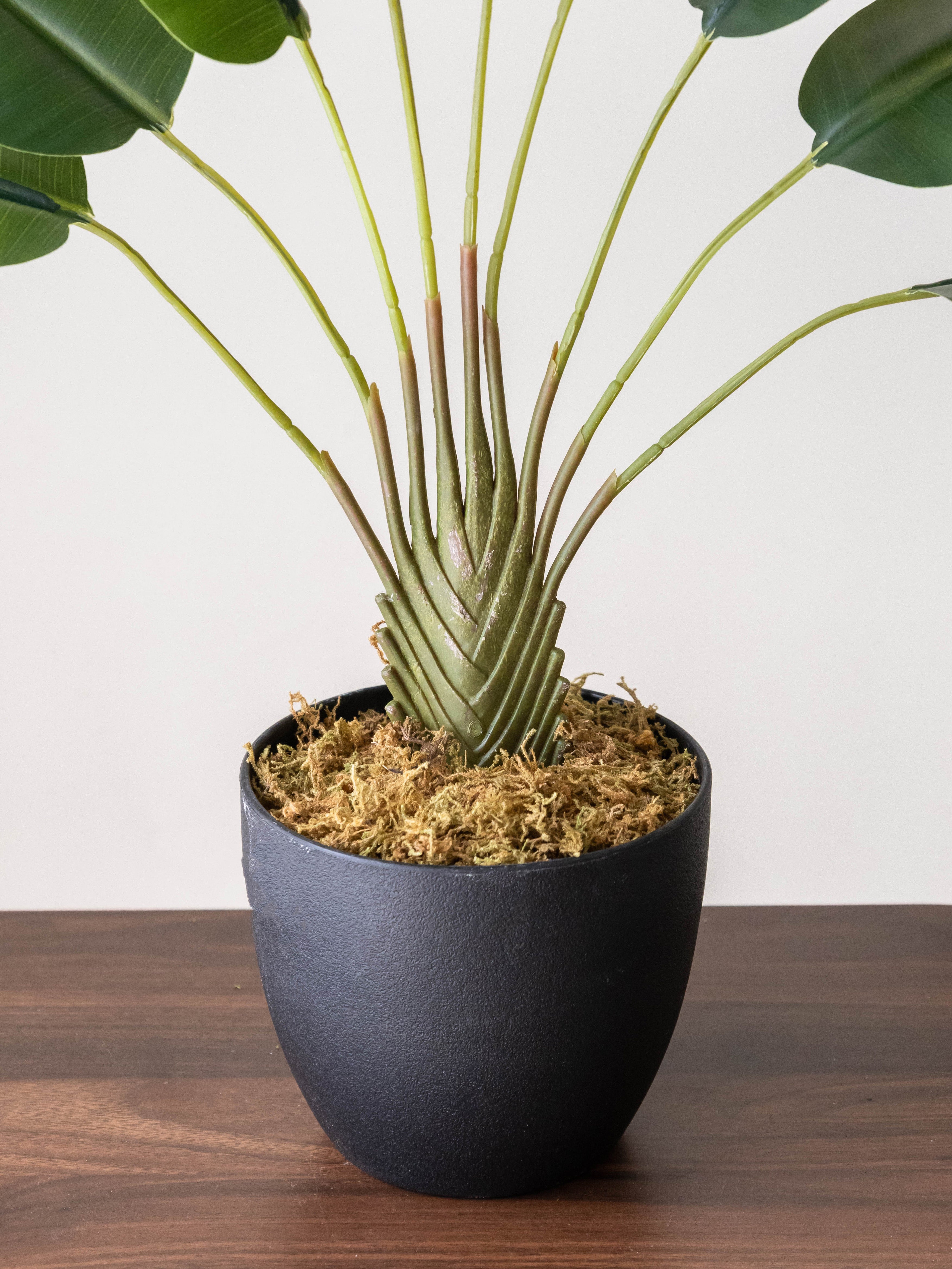 Artificial Traveller's Banana Leaf Plant 2ft
