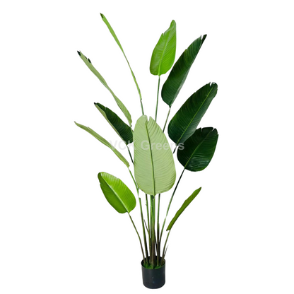 Artificial Travellers Banana Leaf Plant 6ft With Pot