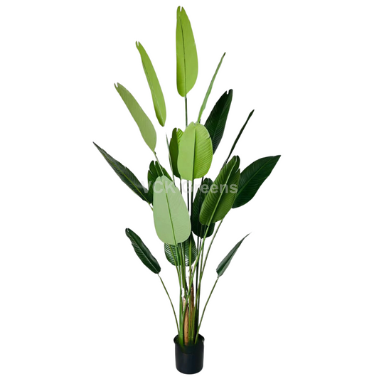 Artificial Travellers Banana Leaf Plant 7.3ft With Pot