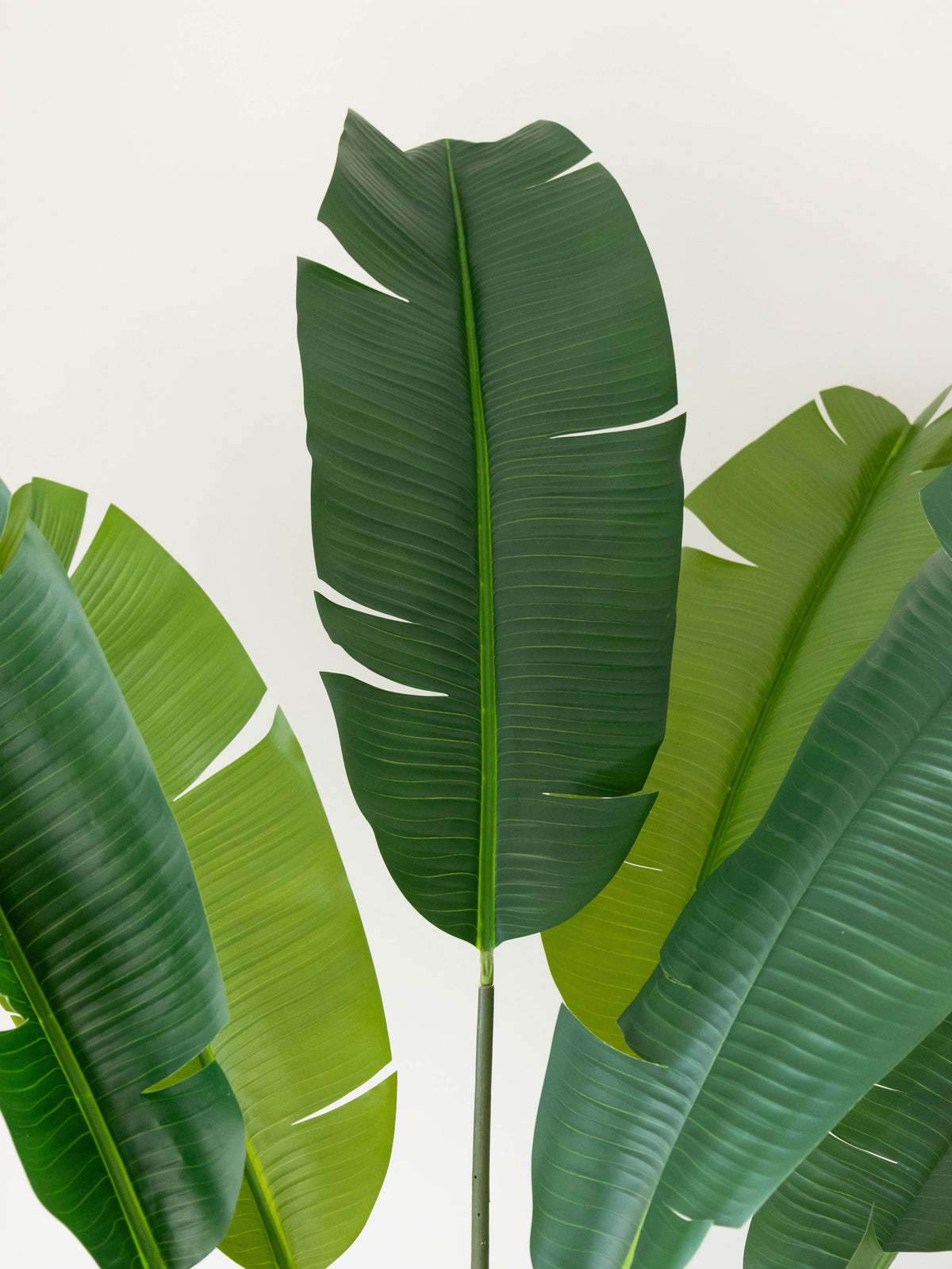 Artificial Traveller Banana Plant 6ft