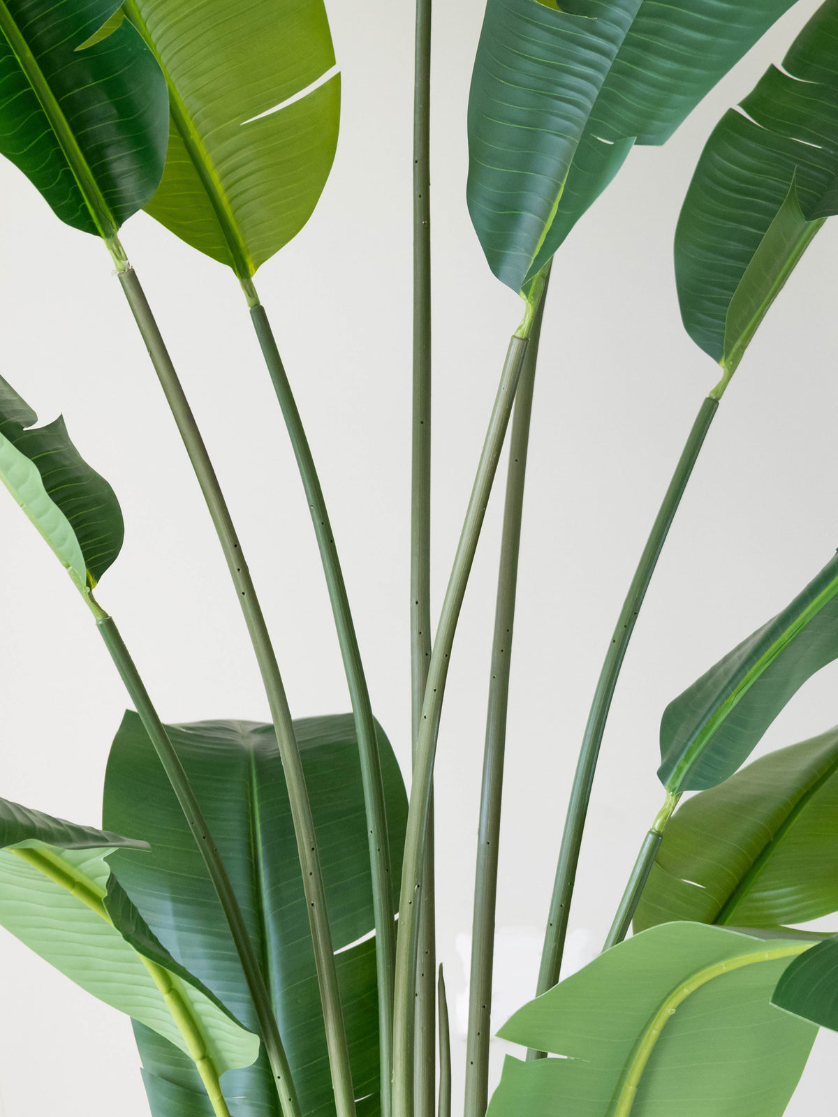 Artificial Traveller Banana Plant 6ft