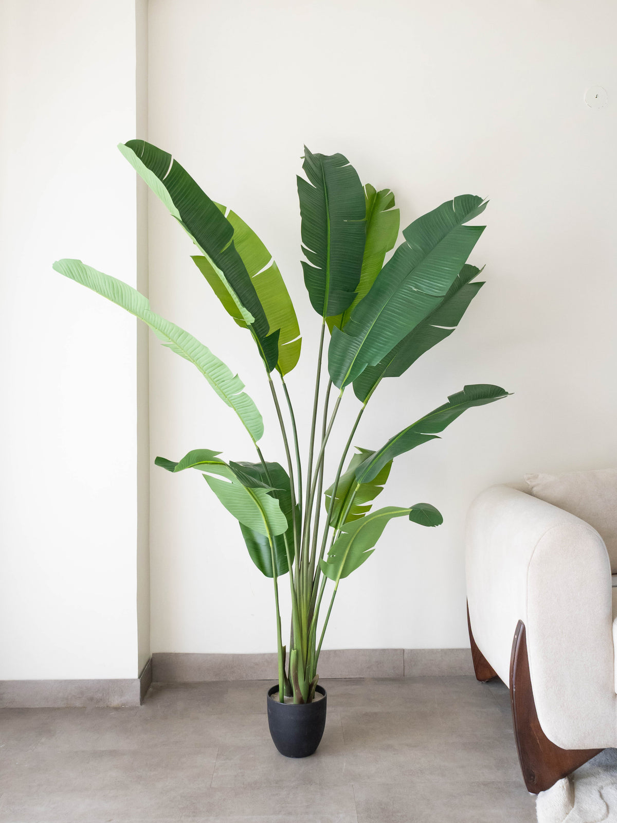 Artificial Traveller Banana Plant 6ft