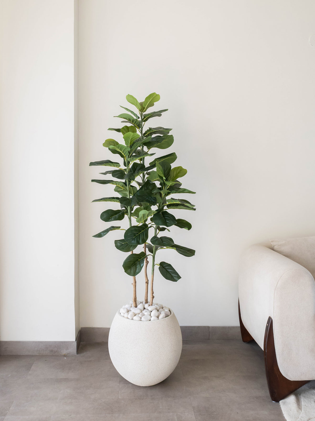 Artificial Velora Fiddle Leaf Fig Tree 5ft