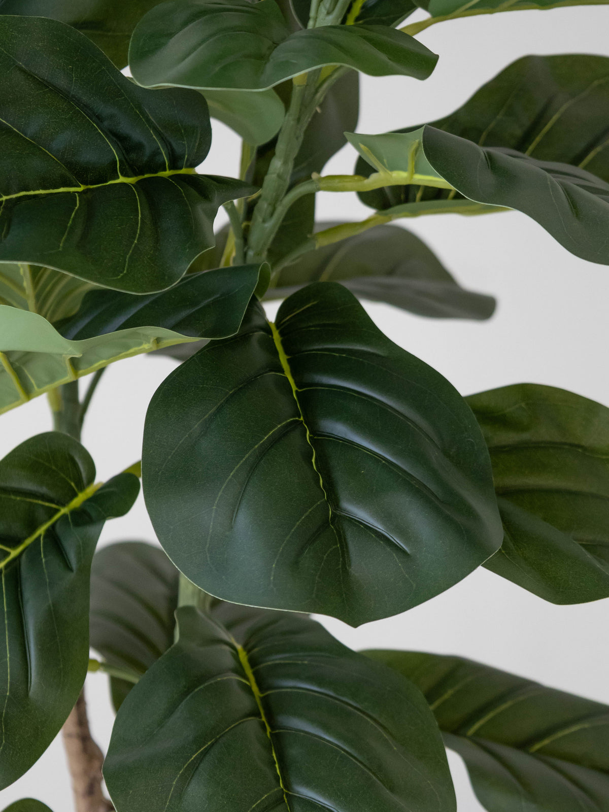 Artificial Velora Fiddle Leaf Fig Tree 5ft