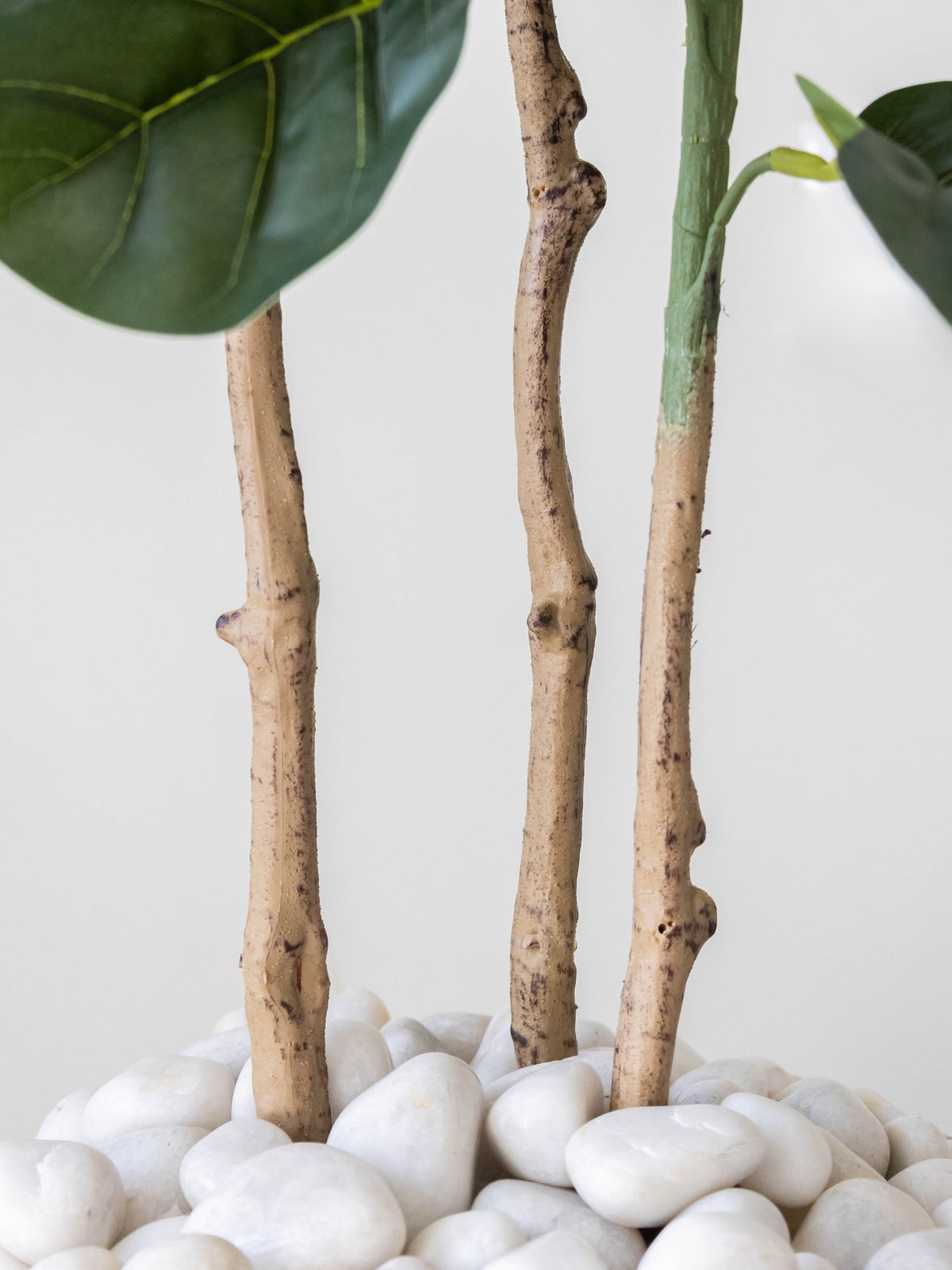 Artificial Velora Fiddle Leaf Fig Tree 5ft