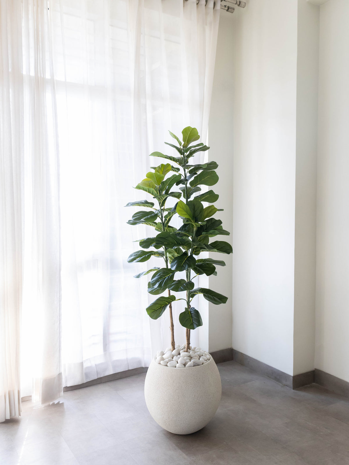 Artificial Velora Fiddle Leaf Fig Tree 5ft